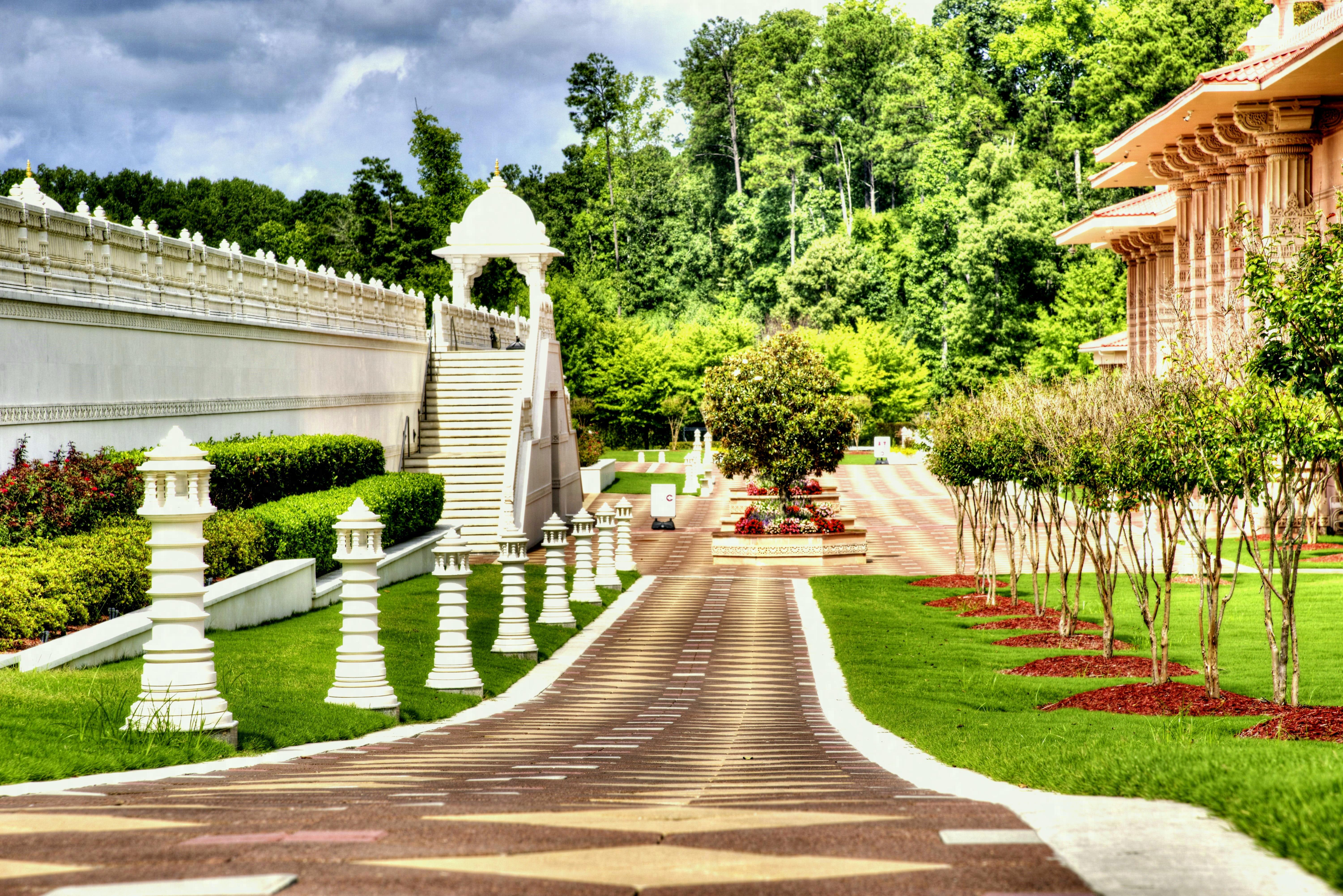 6003x4005 Plants Name In English Garden Wallpaper Big Size HD Photo Download