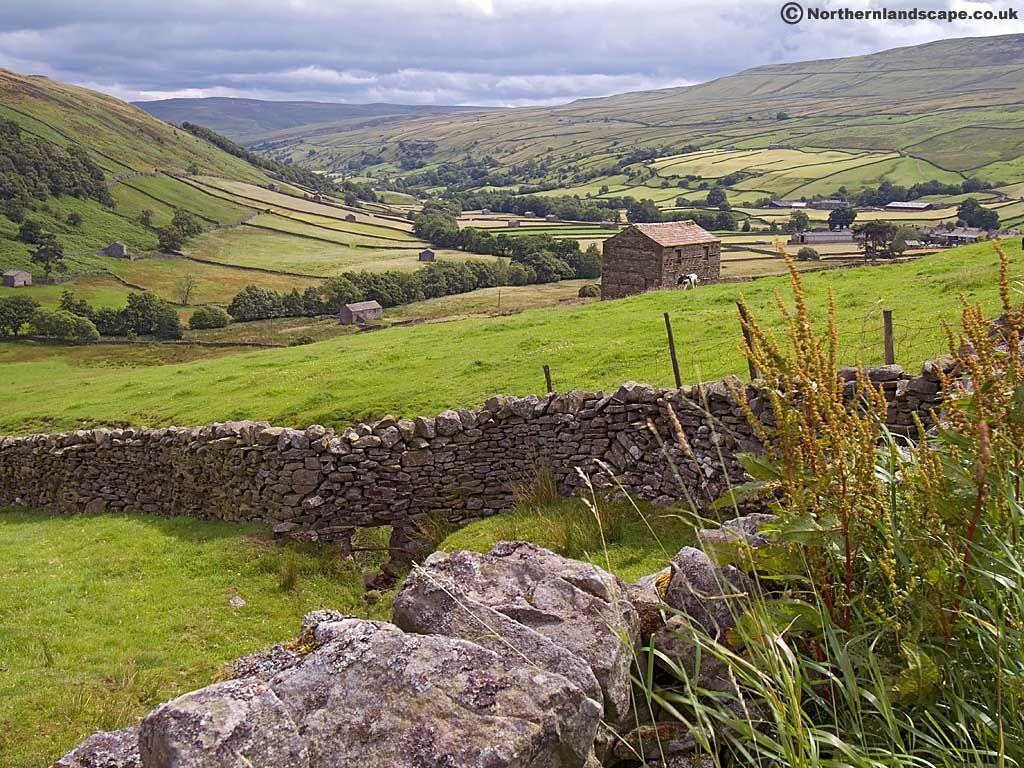 1024x768 Near Thwaite, Swaledale Yorkshire. an abundance of dry stone
