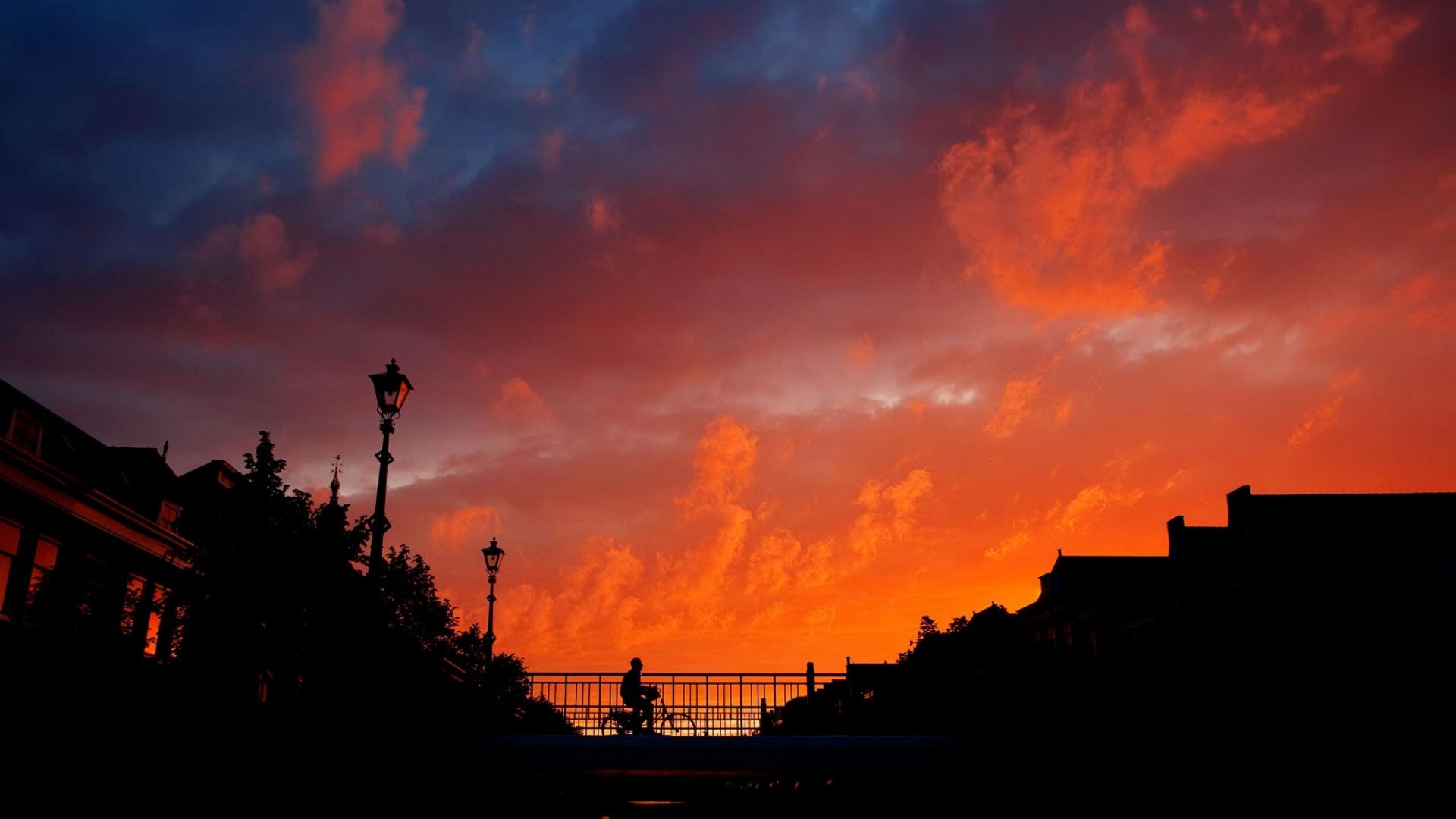 1920x1080 Download Wallpaper 1920x1080 city, sunset, bridge, sky, trees, shade Full HD 1080p HD Background