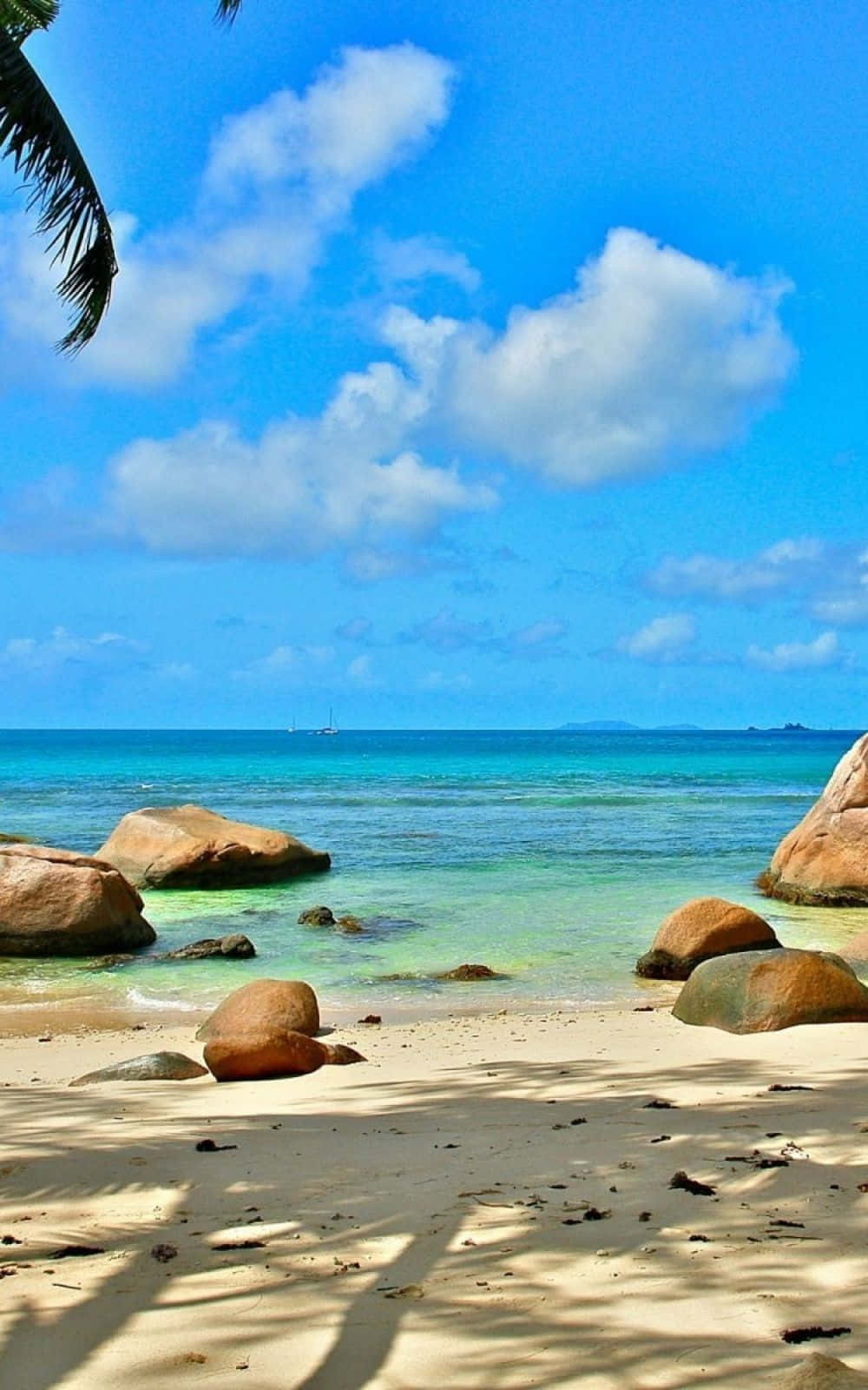 1000x1600 Free Beach Phone Wallpaper Downloads, Beach Phone Wallpaper for FREE