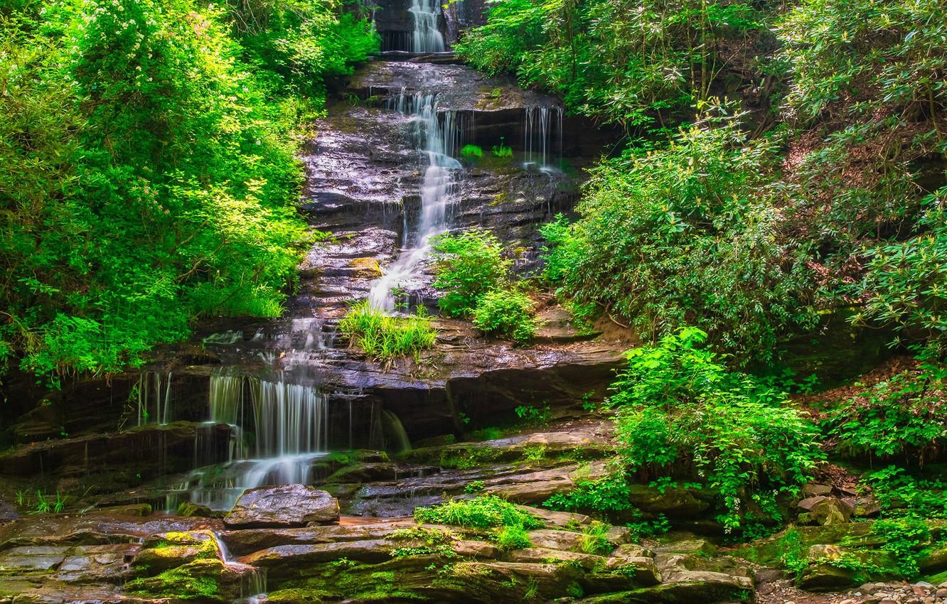 1332x850 Wallpaper greens, forest, the sun, stream, stones, waterfall, moss, USA, the bushes, Great Smoky Mountains National Park, The Great Smoky Mountains image for desktop, section природа