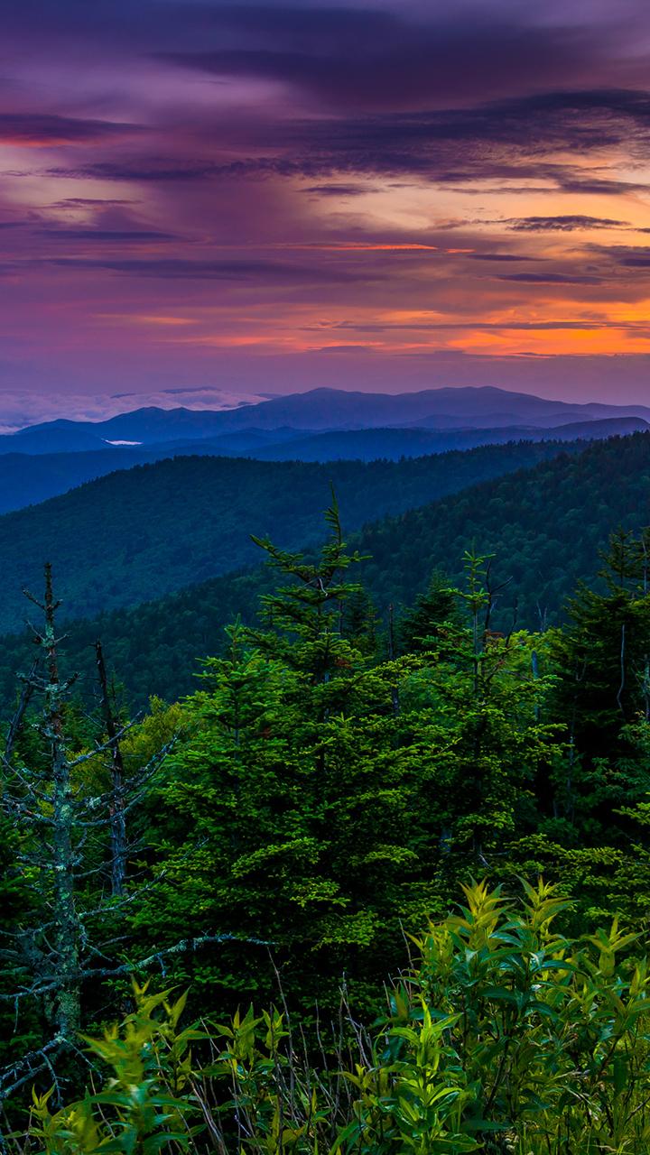 720x1280 best spots in the Smokies