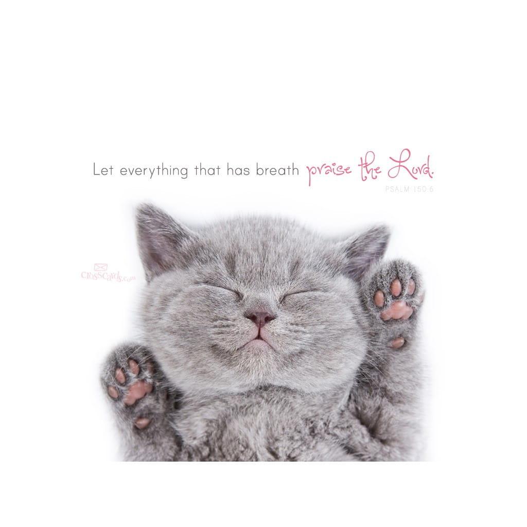 1024x1024 Praise the Lord Desktop Wallpaper Animals Background