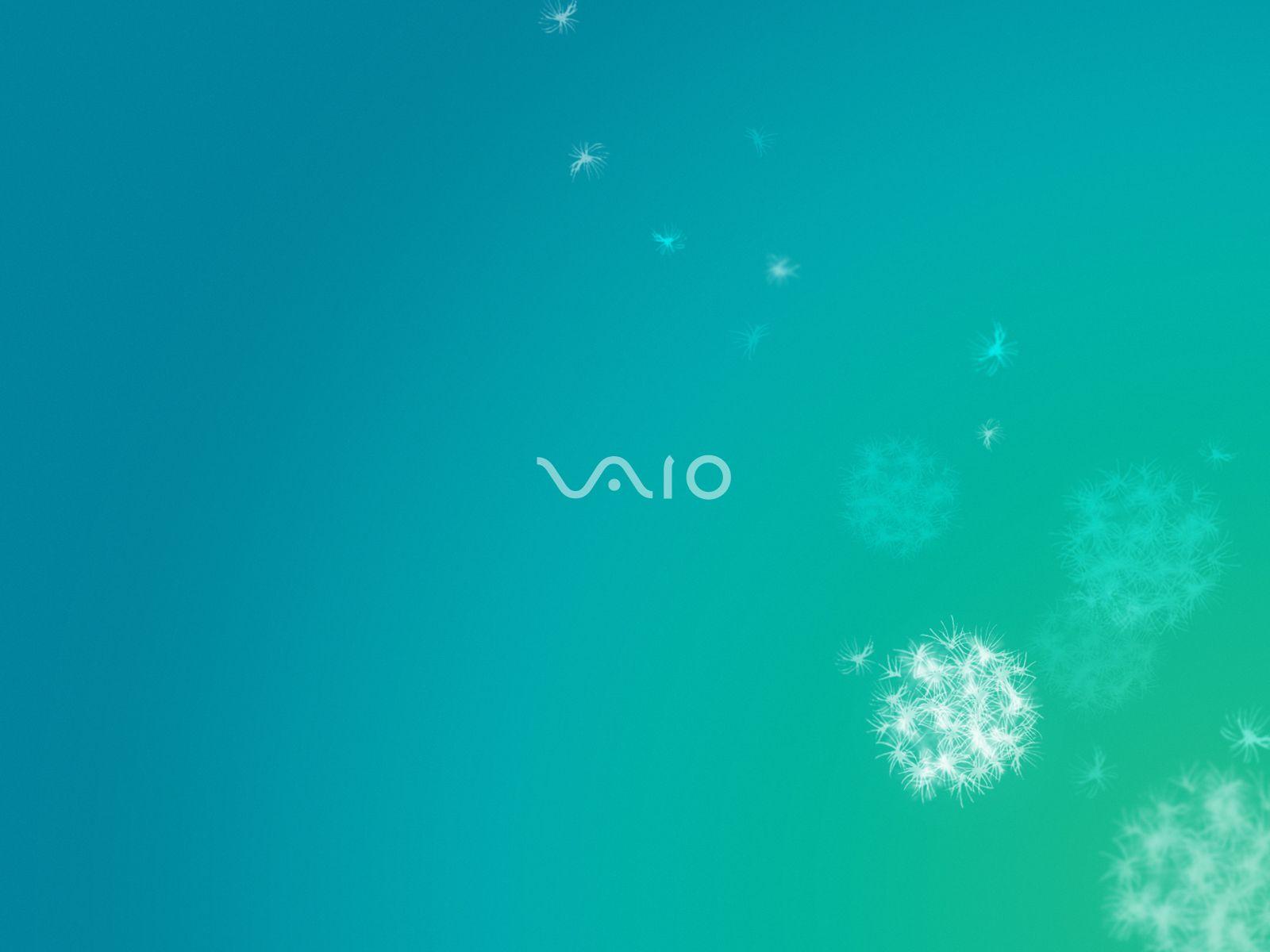 1600x1200 sony vaio 10 normal is an HD wallpaper posted in Logos category. You