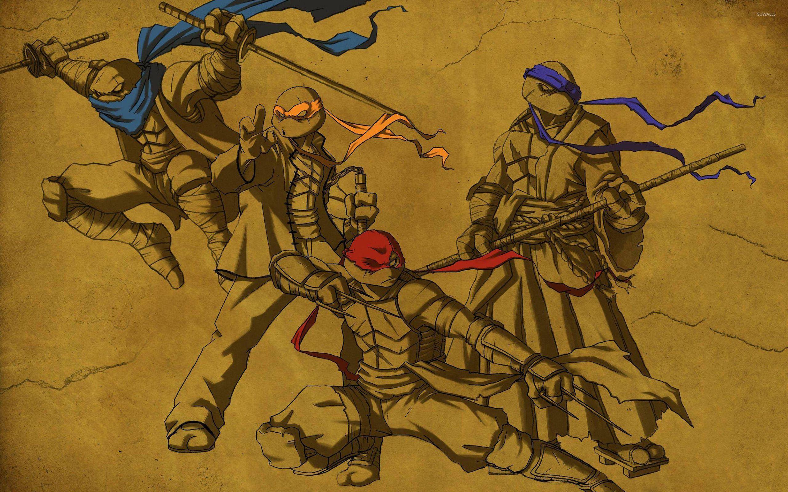 2560x1600 Ninja Turtle Mask HD Wallpaper 22043