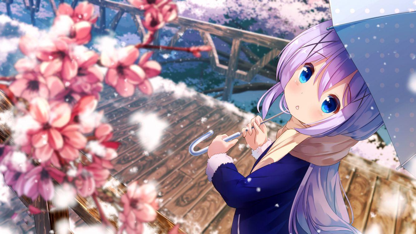 1333x750 Wallpaper Is The Order a Rabbit, Anime, Flower, Plant, White, Background Free Image