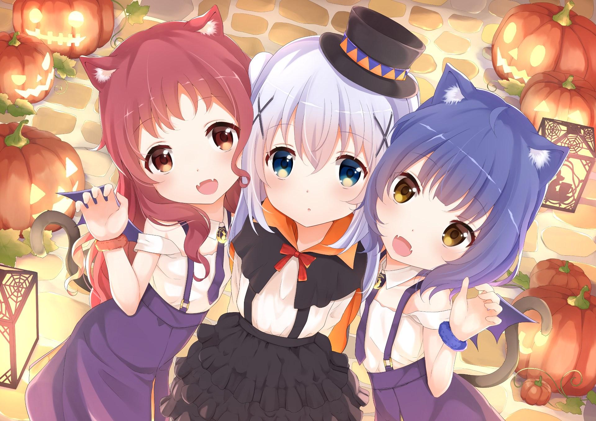 1920x1357 is the order a rabbit