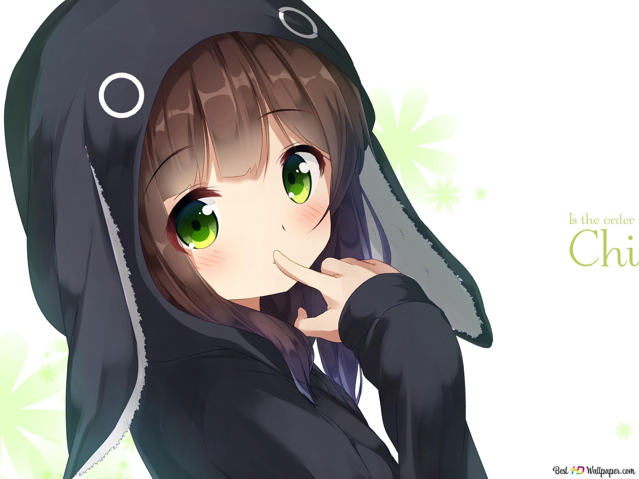 2048x1536 Is the Order a Rabbit? 4K wallpaper download