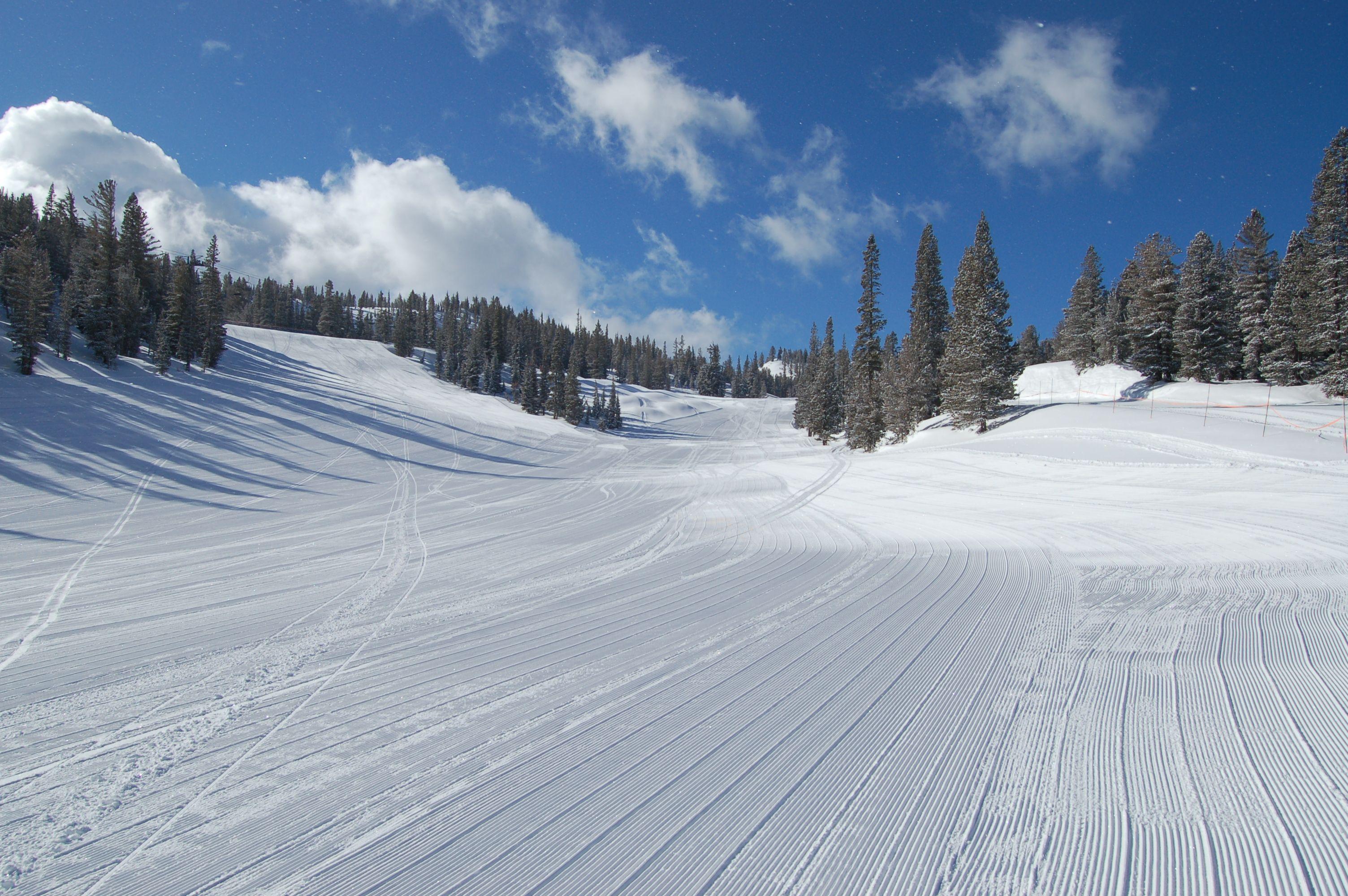 Ski Slope Zoom Background