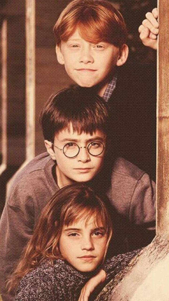 720x1280 Harry Potter Golden Trio Wallpaper