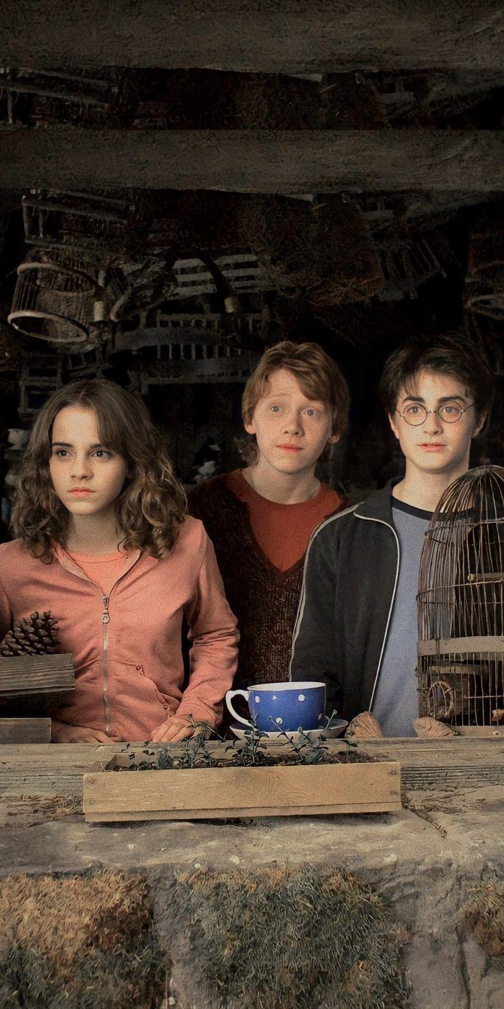 736x1472 golden trio wallpaper aesthetic. Weasley harry potter, Harry potter ron, Harry potter picture