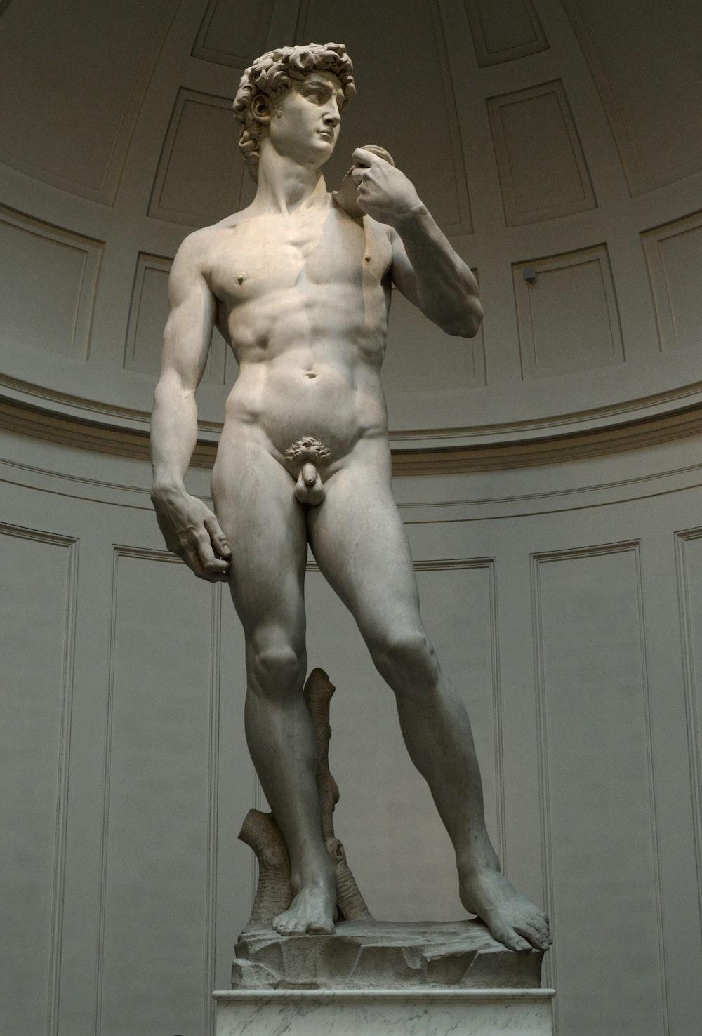 1000x1476 Michelangelo David Picture. Download Free Image
