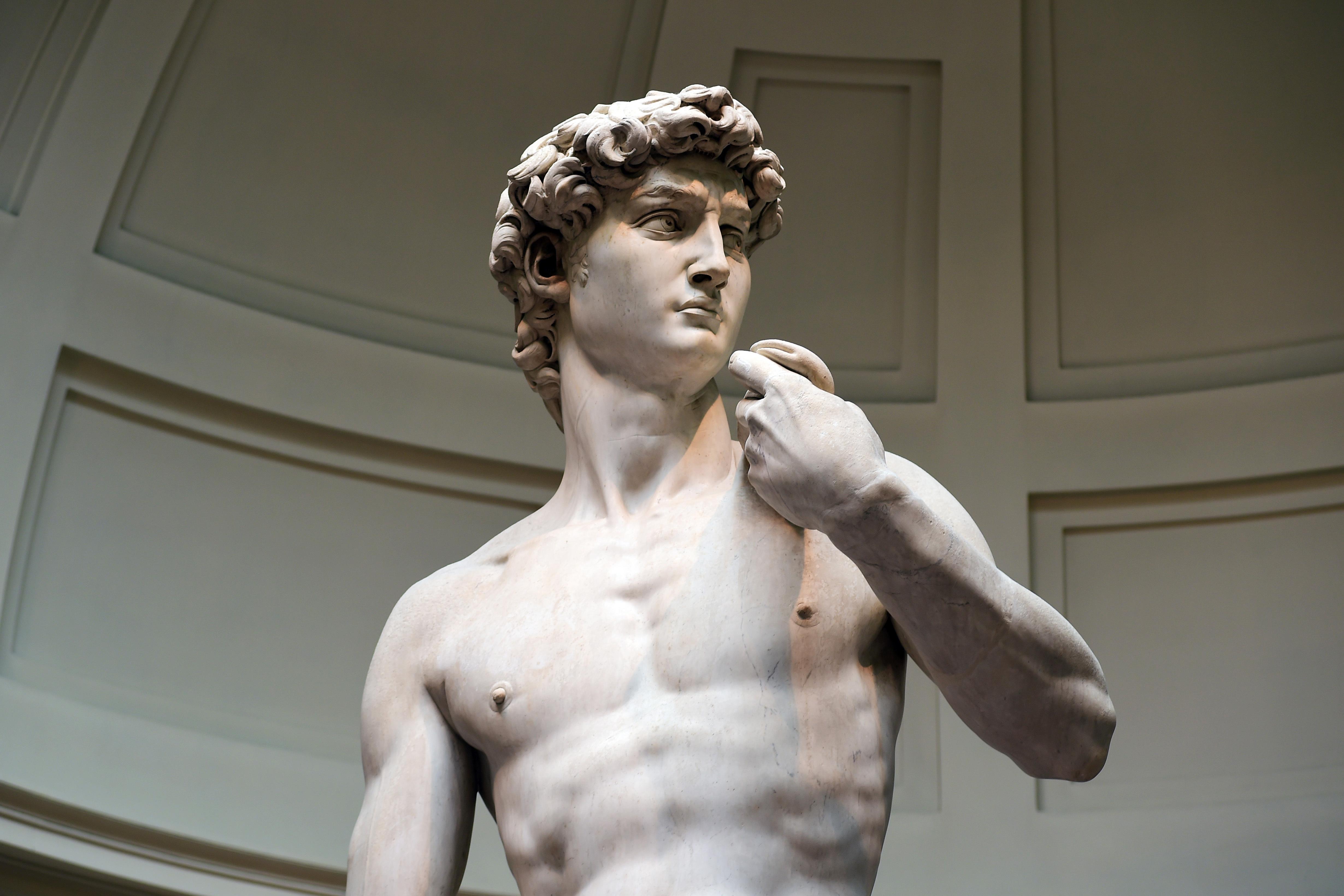 Michelangelo David Wallpapers Top Free Michelangelo David Backgrounds