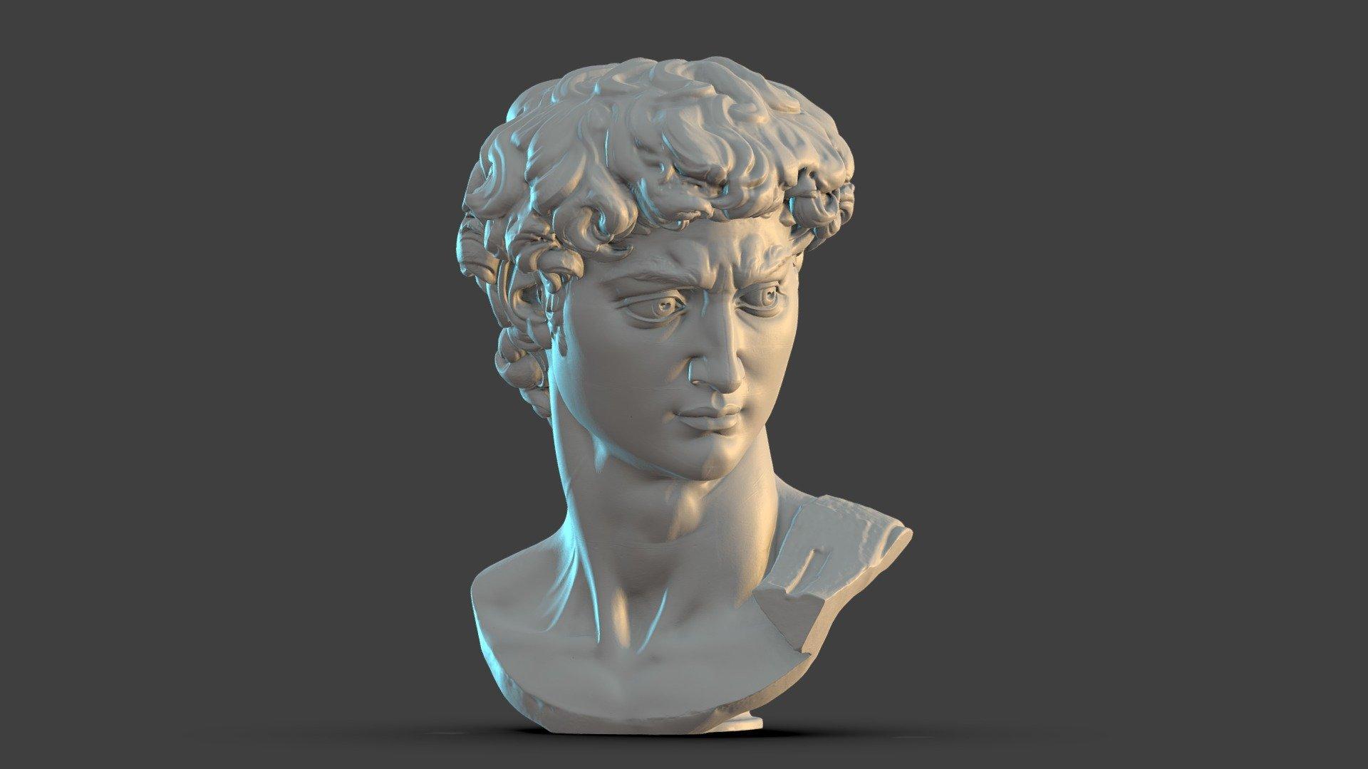 1920x1080 Head Of Michelangelo's David, Optimised Free 3D model by Thomas Flynn [d29af50]