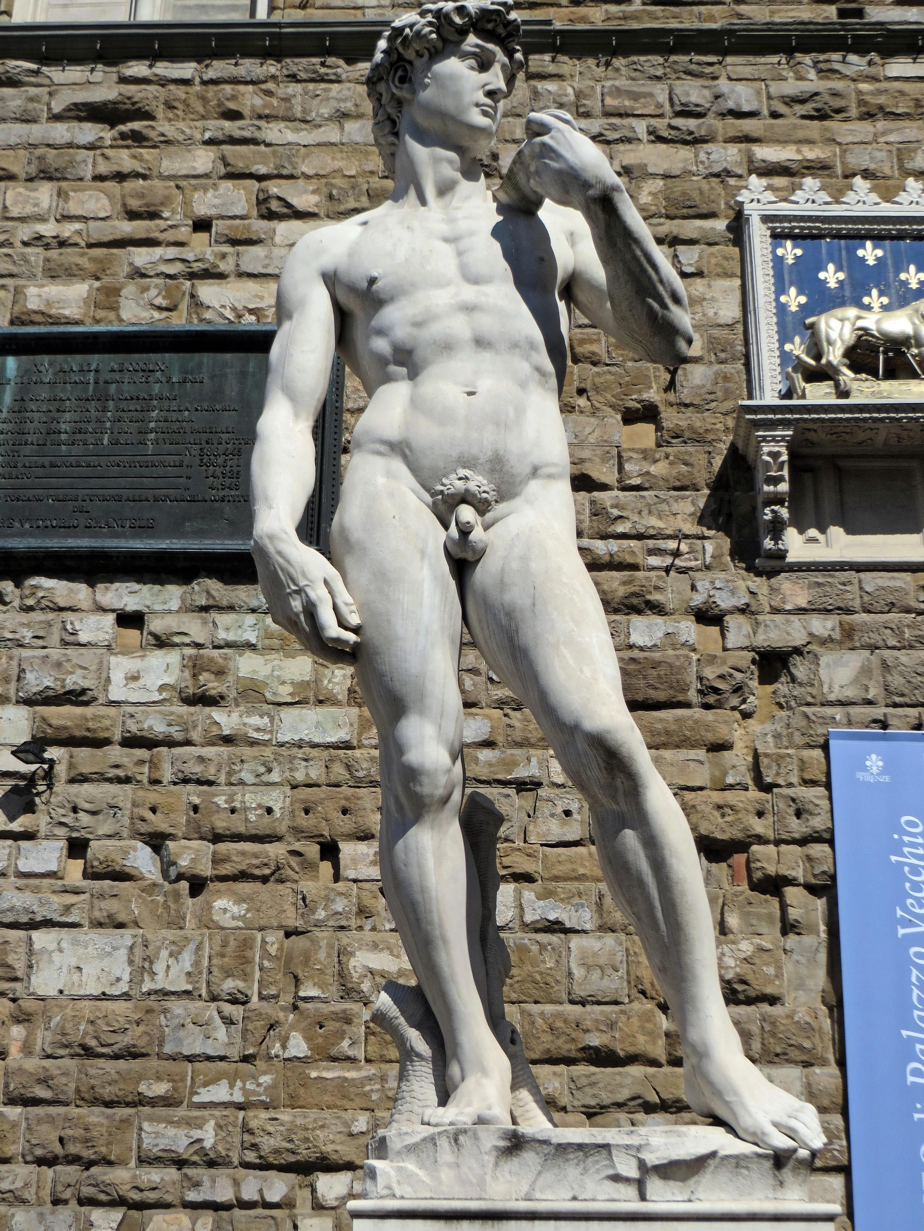 2942x3922 Wallpaper / history, michelangelo di lodovico buonarroti, male likeness, wall, representation, building exterior, statue, built structure, david, creativity, the past free download