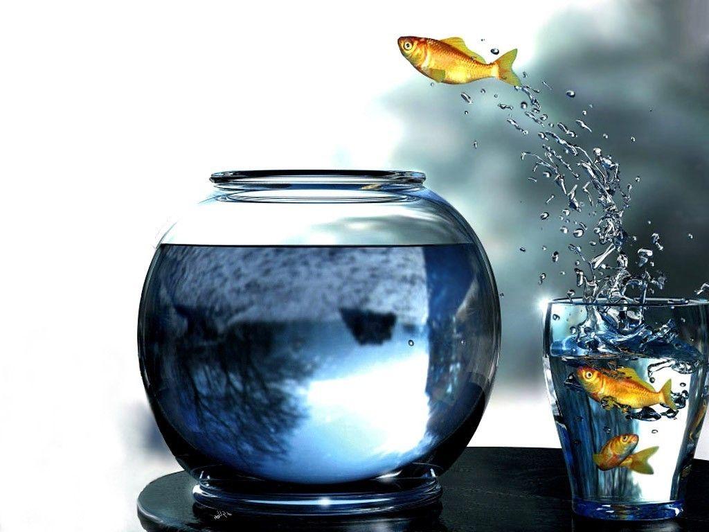 Fish Bowl Wallpapers - Top Free Fish Bowl Backgrounds - WallpaperAccess