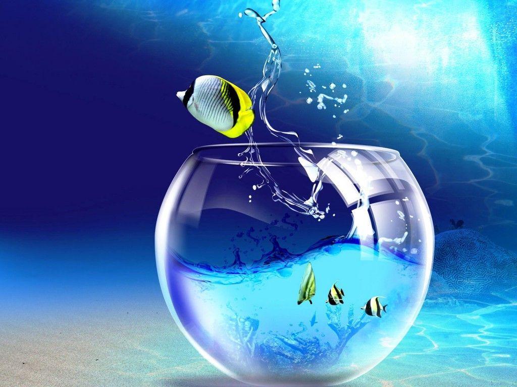 1024x768 Fish Bowl Wallpaper