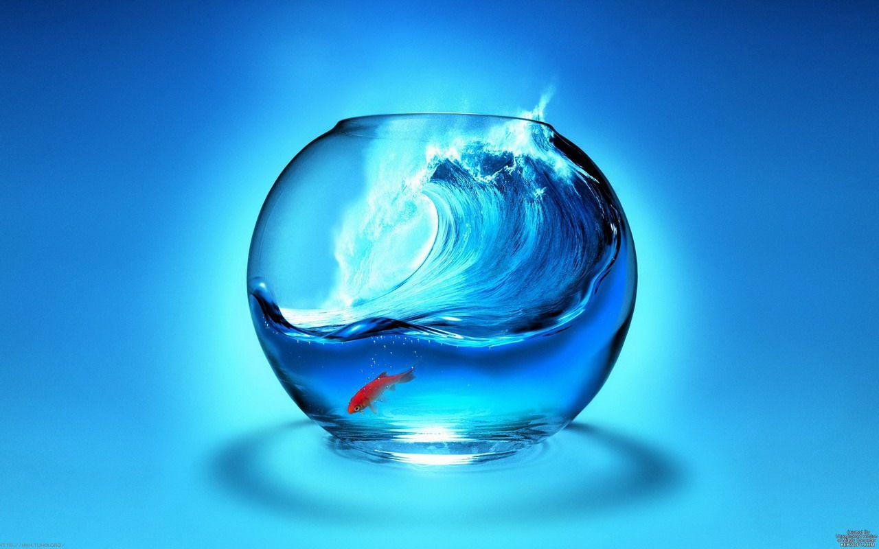 1280x800 Fish Pot Wallpaper