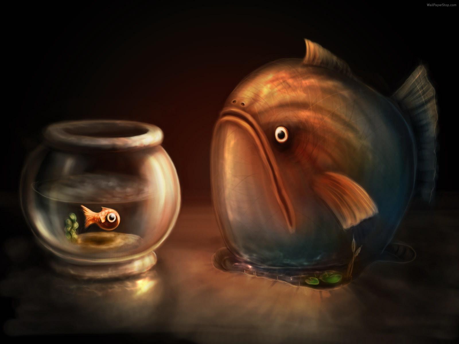 1600x1200 Fish Bowl HD Wallpaper und Hintergründe