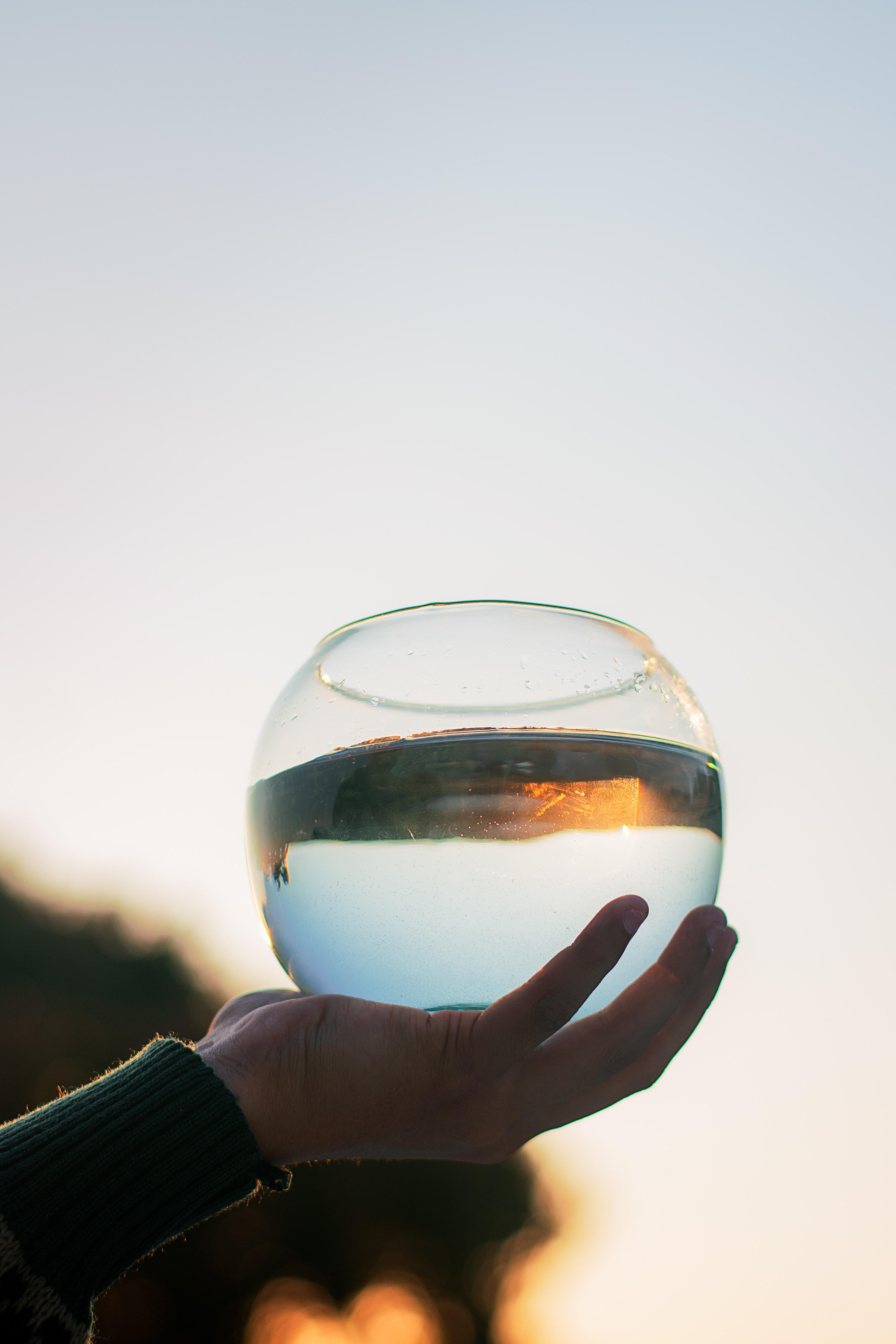 3520x5279 Person Carrying Bowl Filled With Water · Free