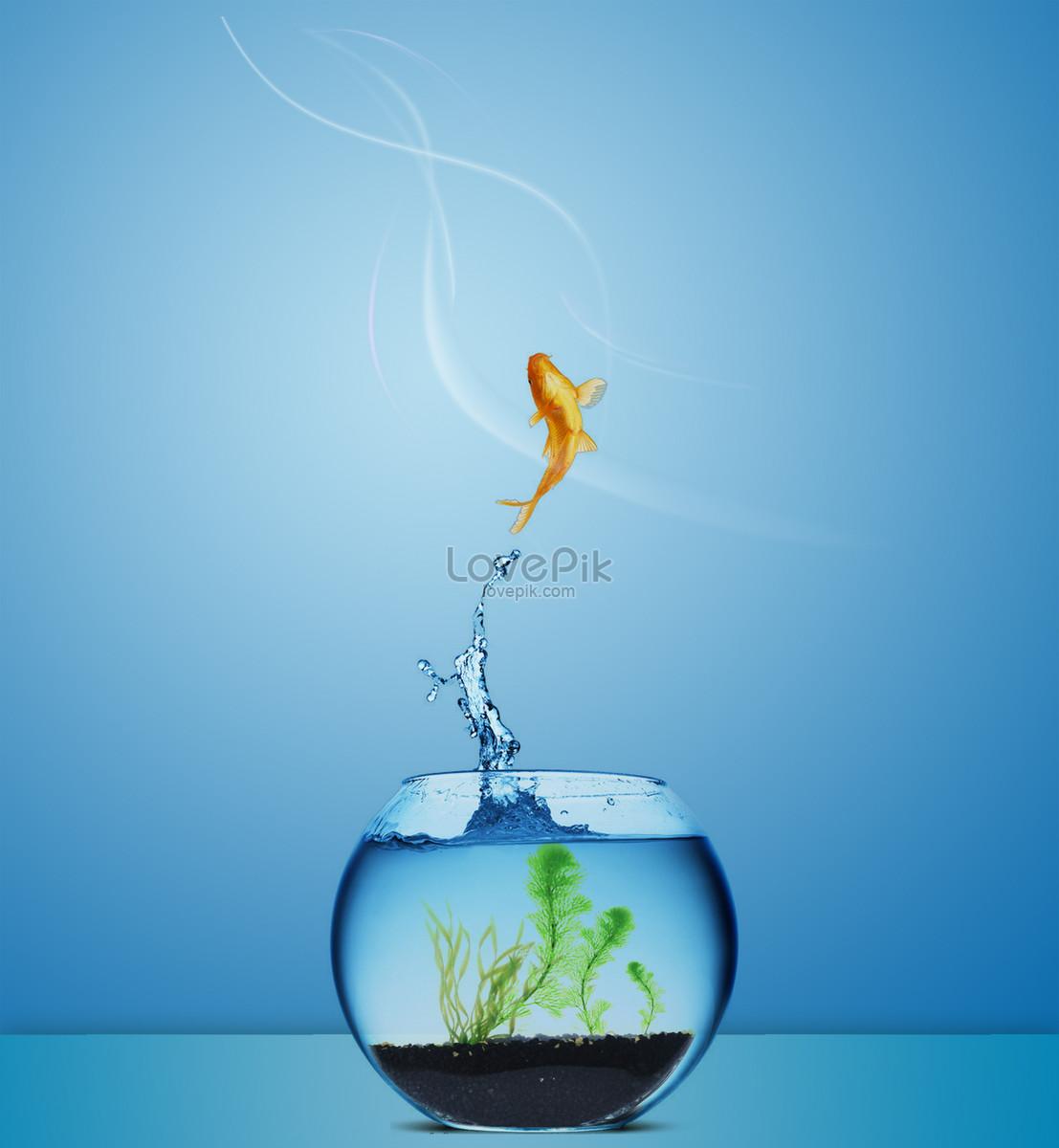 1107x1200 Fish Bowl Image, HD Picture For Free Vectors Download