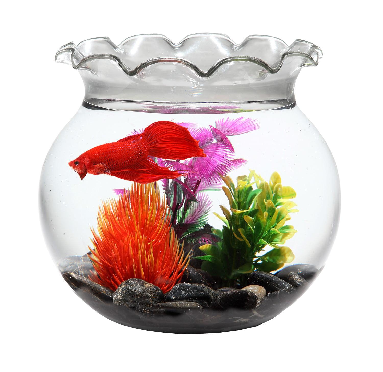 1500x1457 Koller Products Hawkeye 1 Gallon Shatterproof Plastic Fish Bowl With Glass Marbles & Plastic Plant