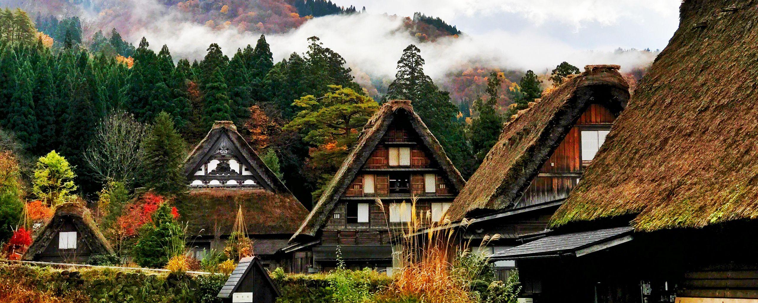 2560x1024 Download wallpaper 2560x1024 japan, shirakawa, houses, mountains, trees ultrawide monitor HD background