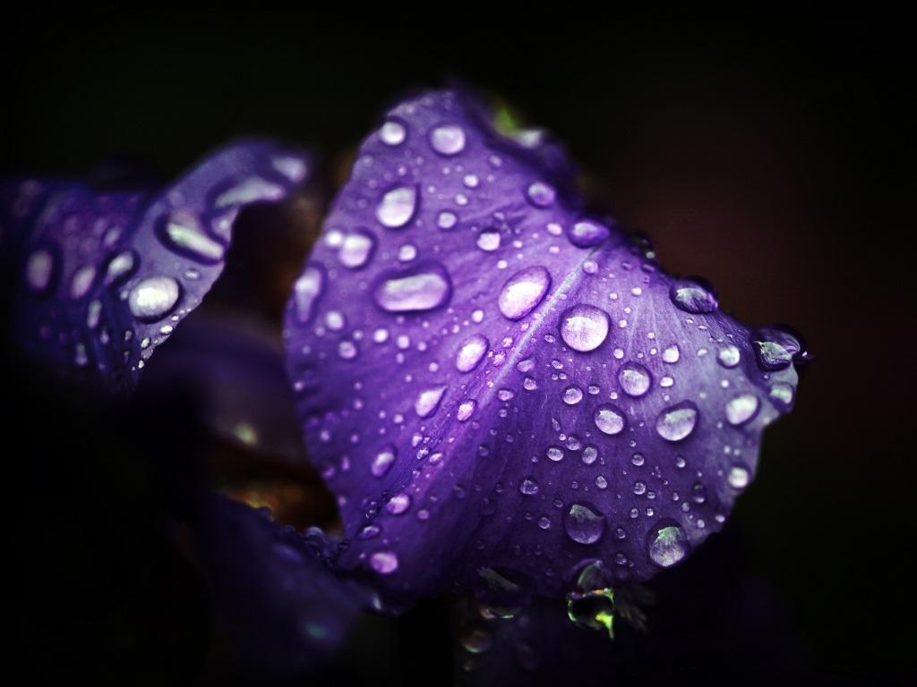 1024x768 Best Wallpaper Ever