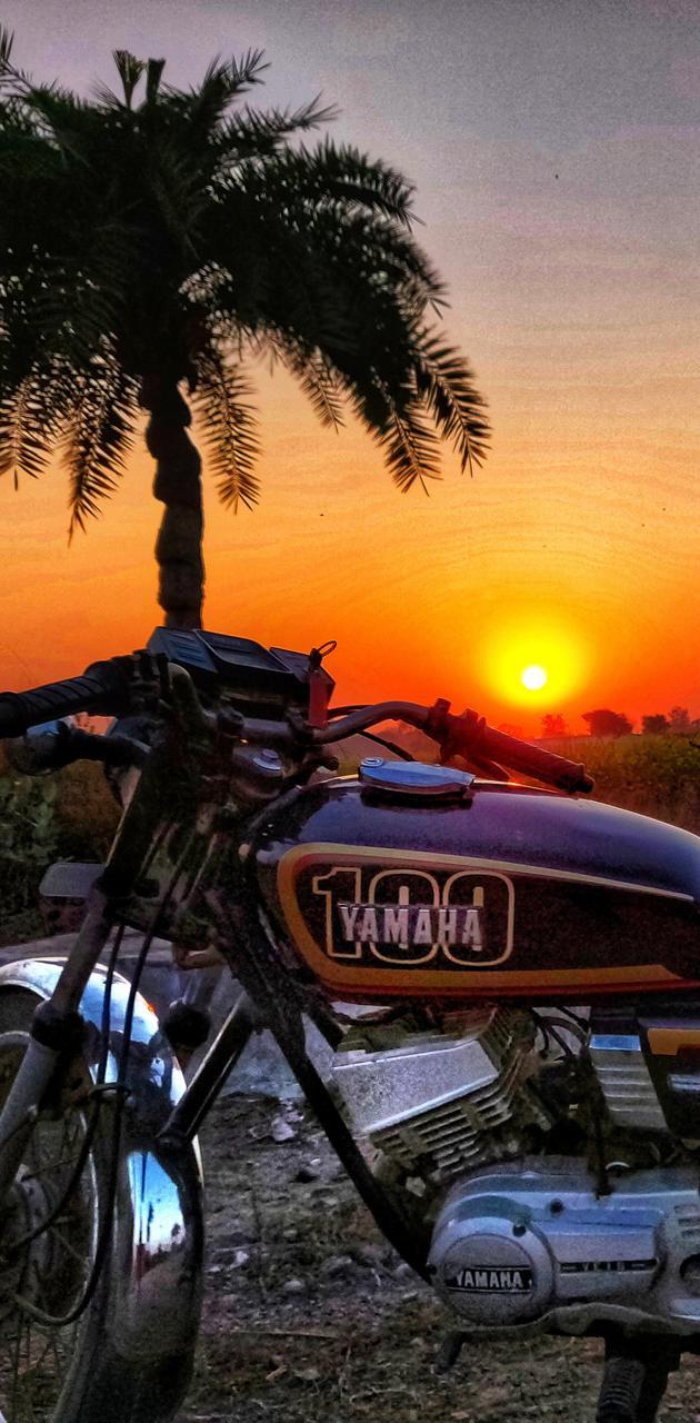 630x1280 Rx100 wallpaper