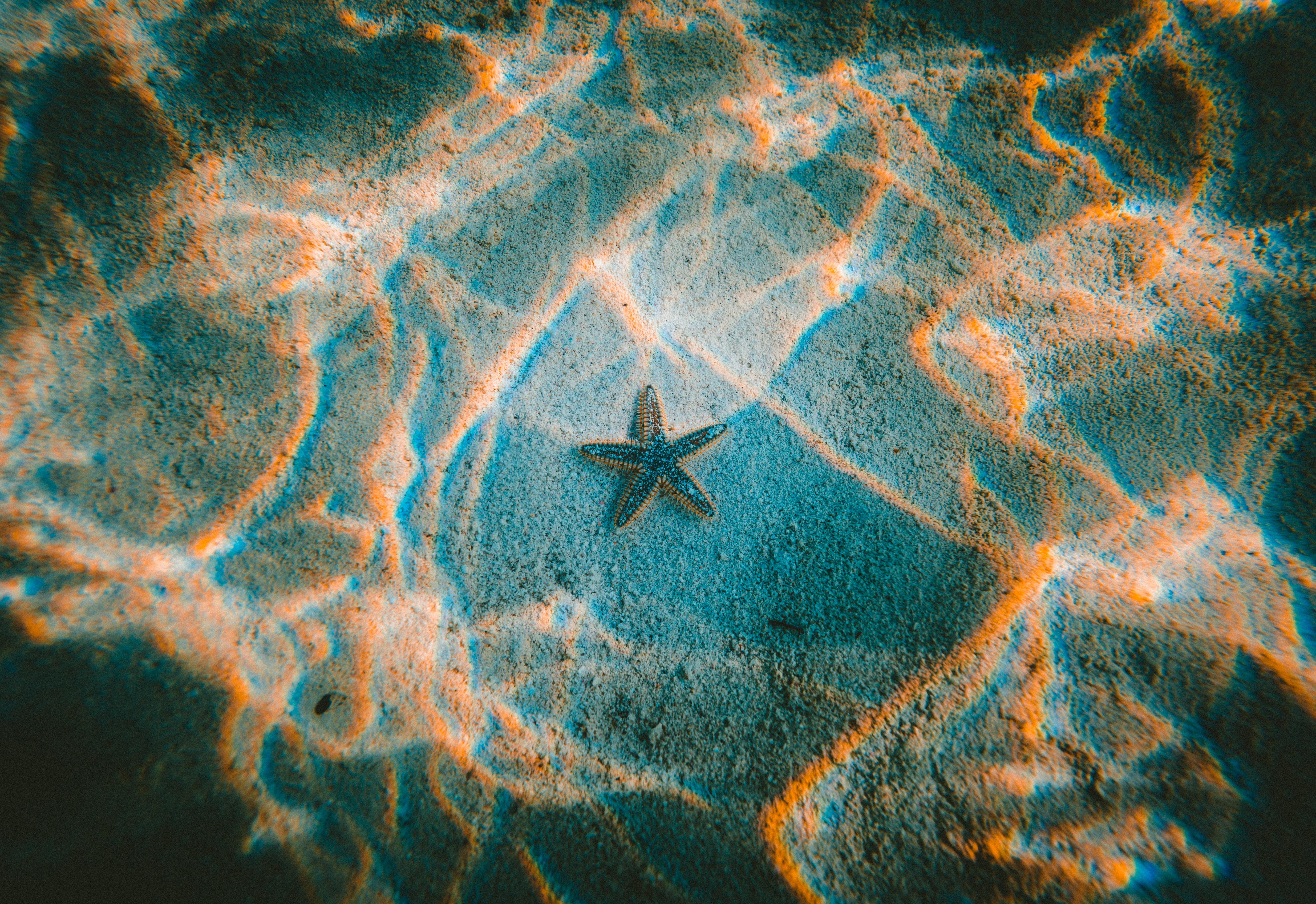 5589x3840 ocean floor 1080P, 2k, 4k HD wallpaper, background free download