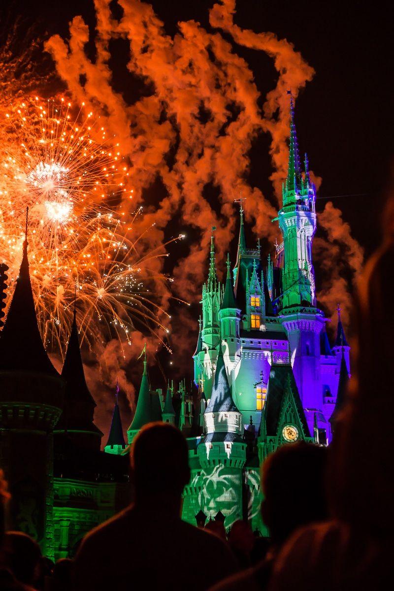 800x1200 Ultimate Guide to 2020 Mickey's Not So Scary Halloween Party. Disney wallpaper, Disney world halloween, Disney fun facts