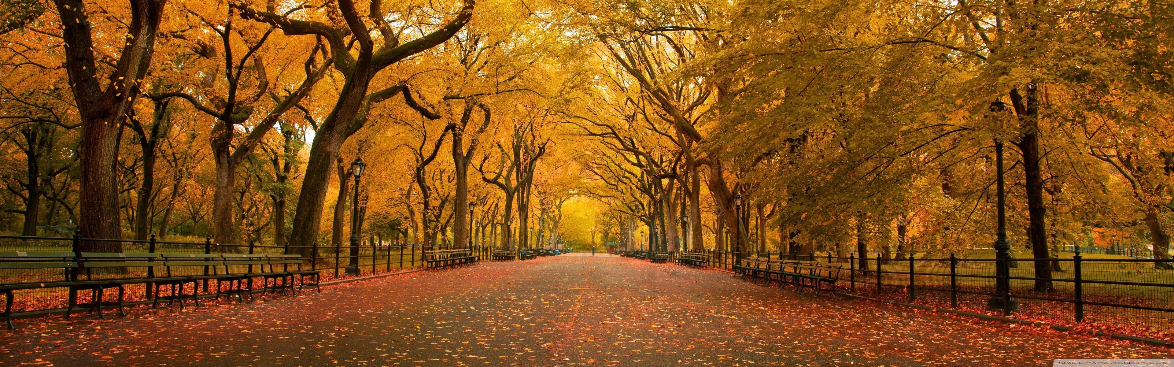 3840x1200 Wide Alley HD desktop wallpaper High Definition Fullscreen. Autumn