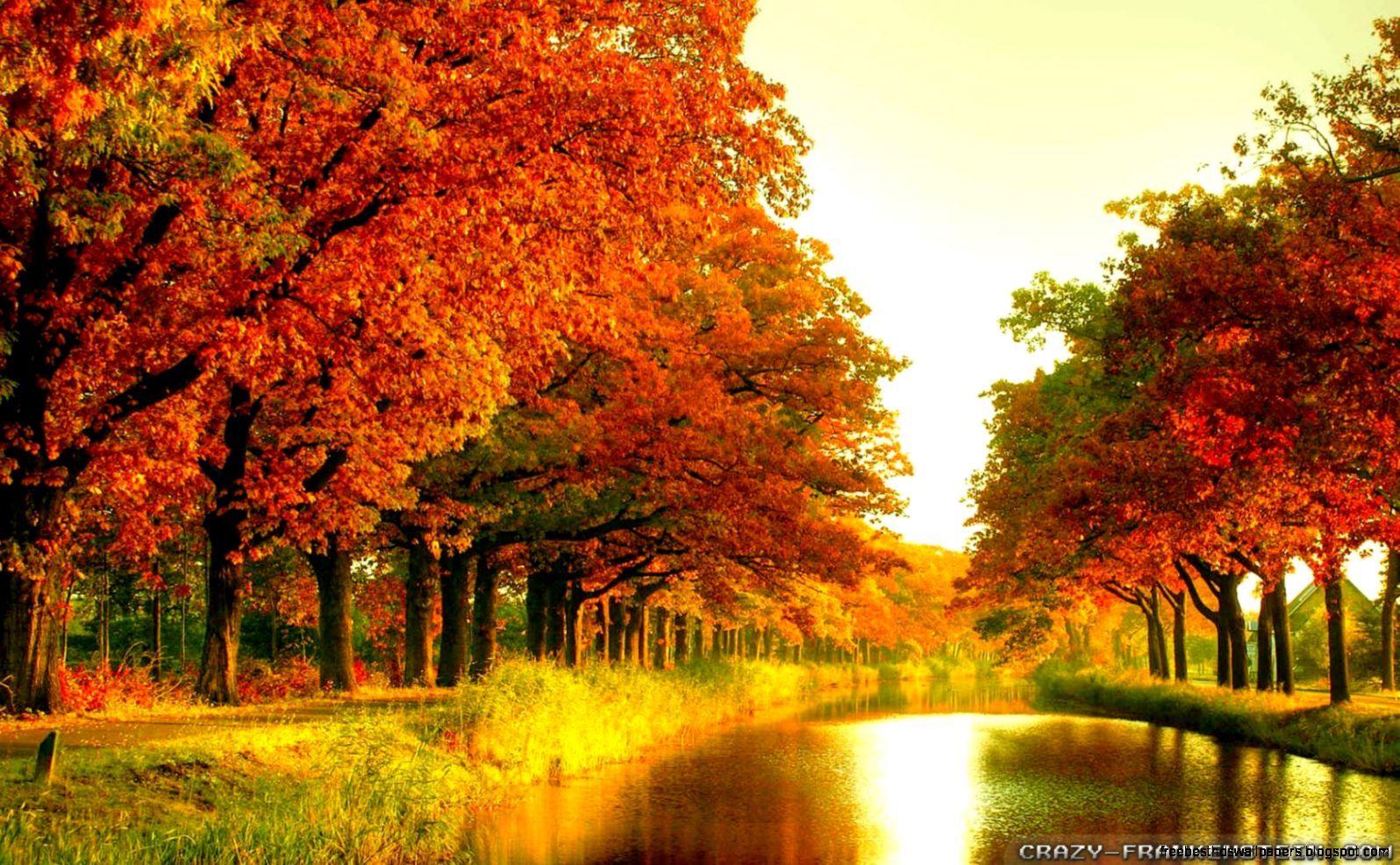 1596x987 Seasonal Wallpaper. Free Best HD Wallpaper