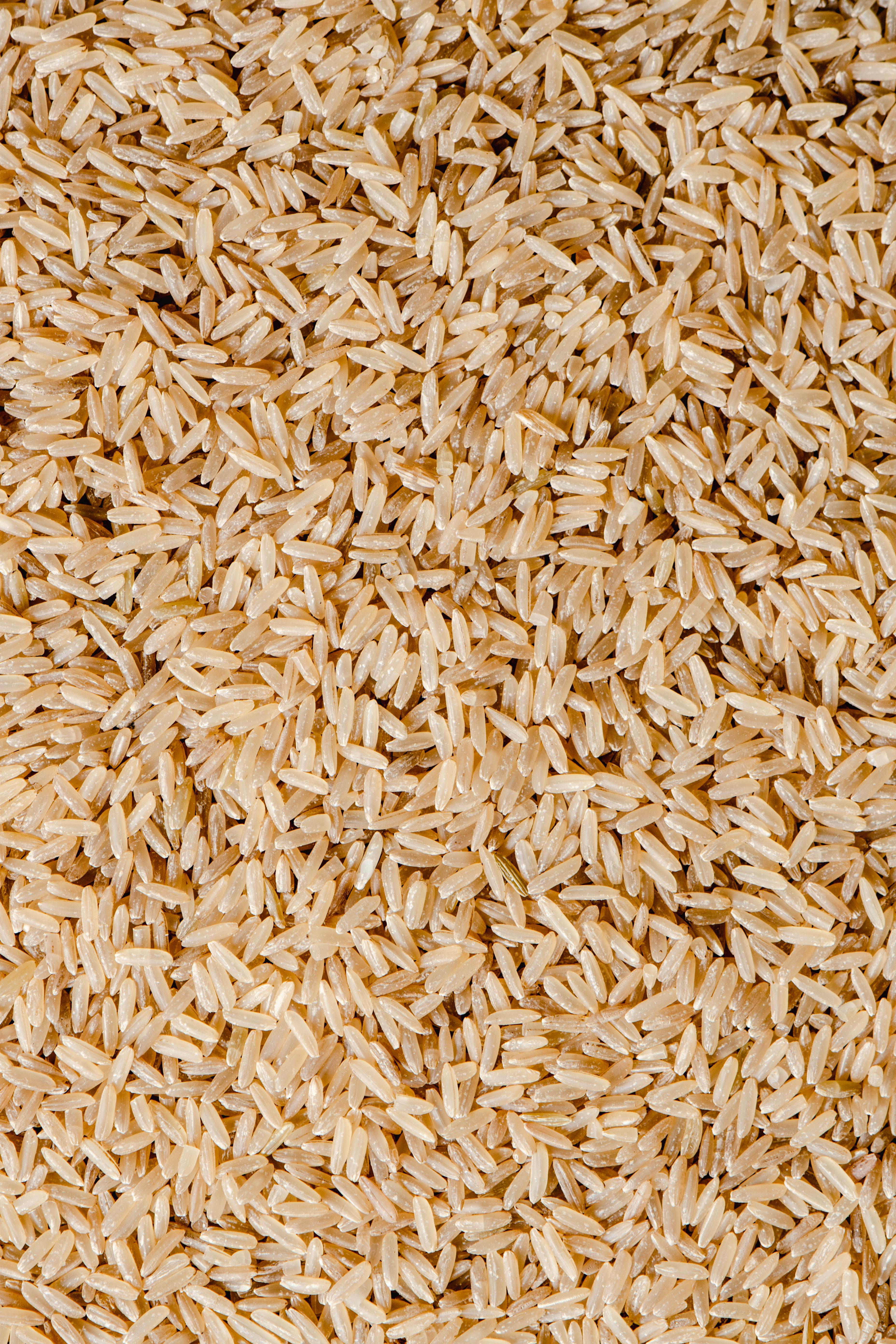 3712x5568 Brown Rice Photo, Download The BEST Free Brown Rice & HD Image