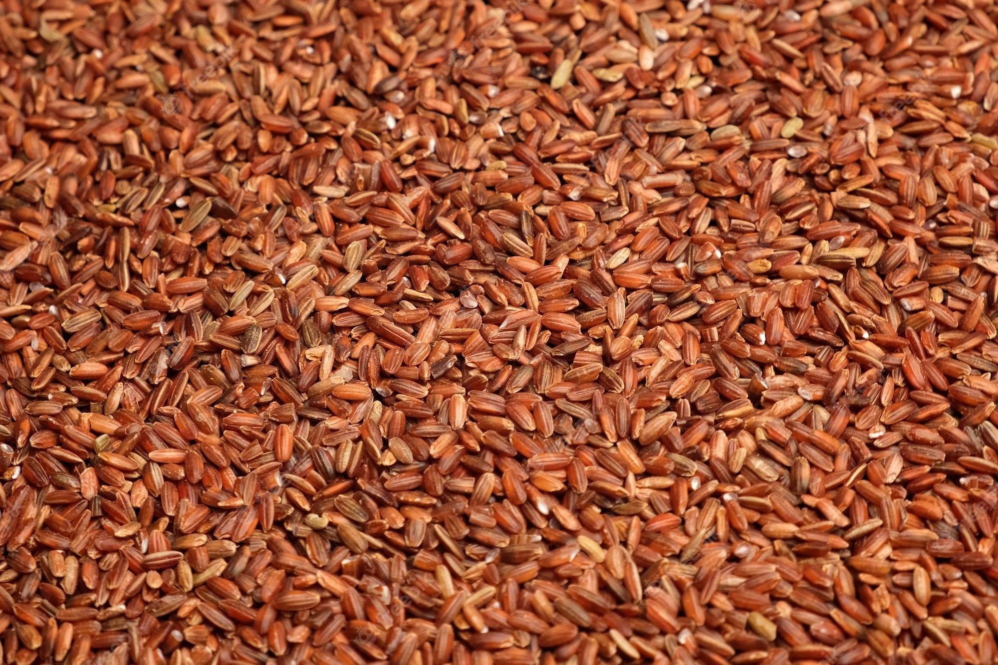 2000x1333 Premium Photo. Uncooked red rice wallpaper. long brown rice surface. close up. grain stack. world crisis, export