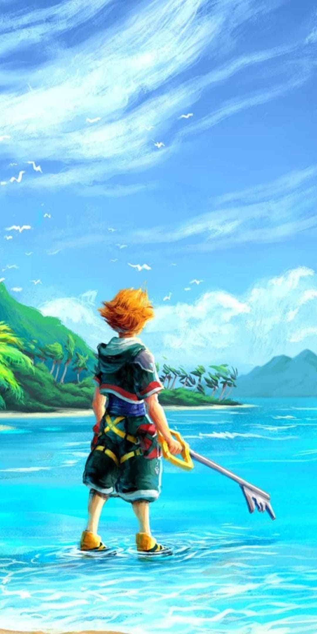 1080x2160 Kingdom Hearts Wallpaper Kingdom Hearts Background Download