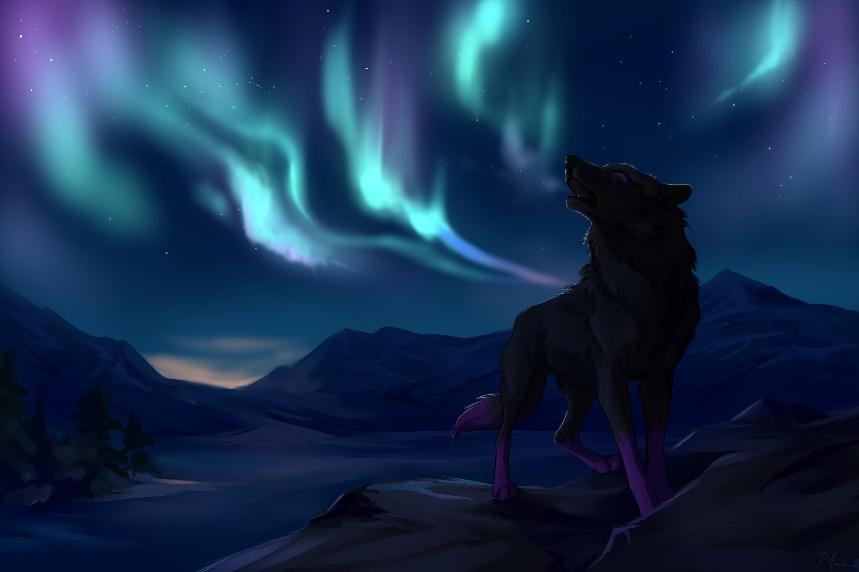 Star Wolf Wallpapers - Top Free Star Wolf Backgrounds - WallpaperAccess