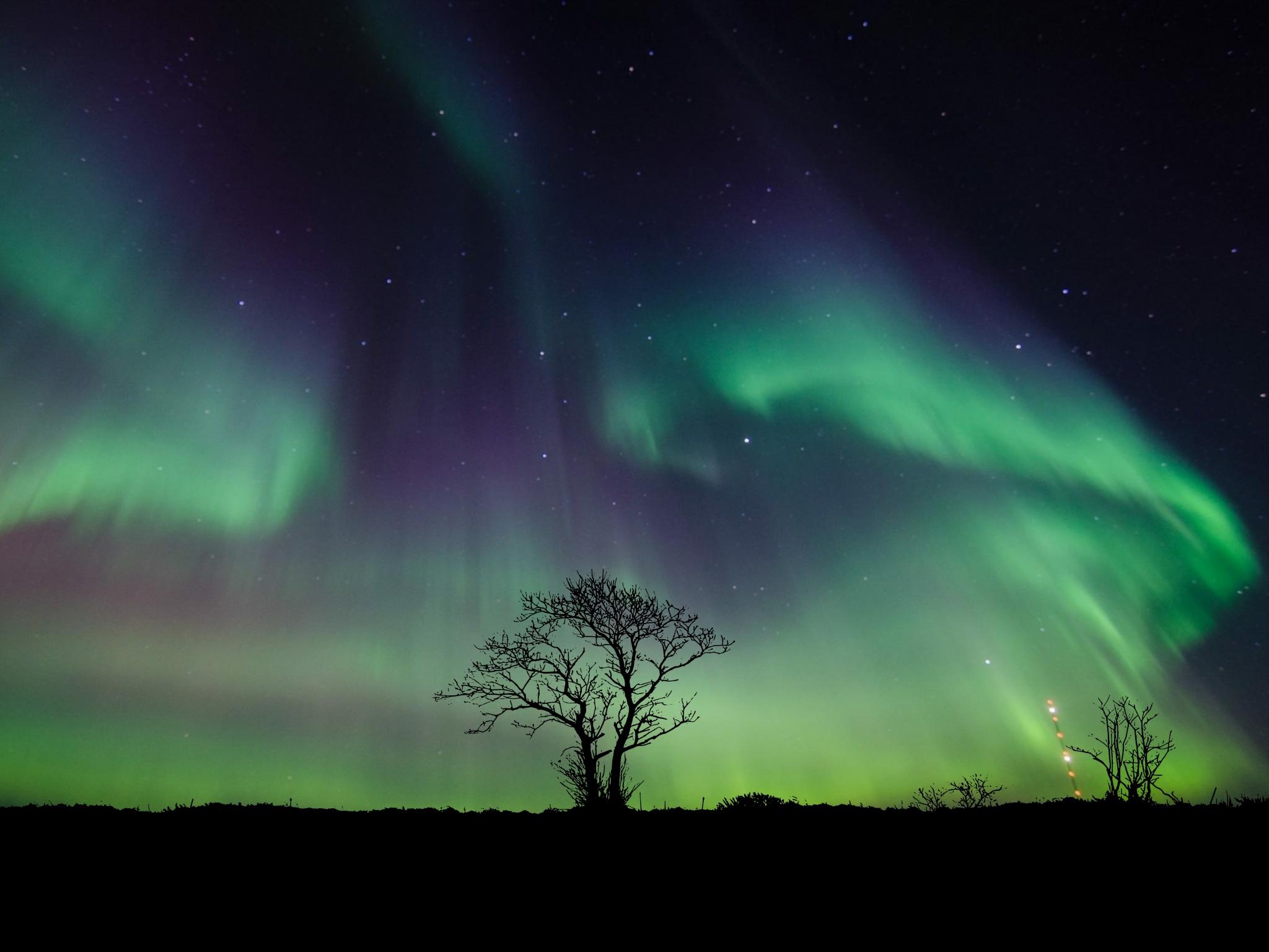 2048x1536 Aurora Borealis Wallpaper 4K, Northern Lights, Night, Nature