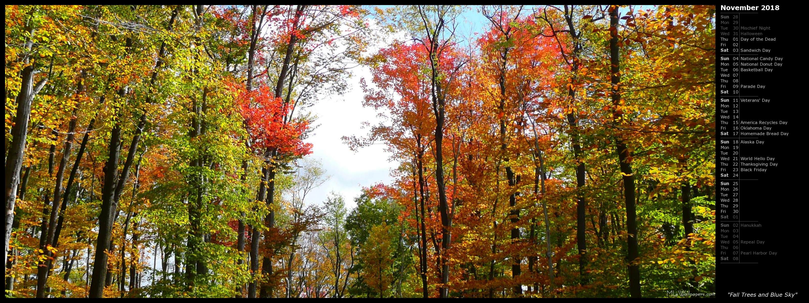 3201x1200 MLeWallpaper.com Trees and Blue Sky (Calendar)