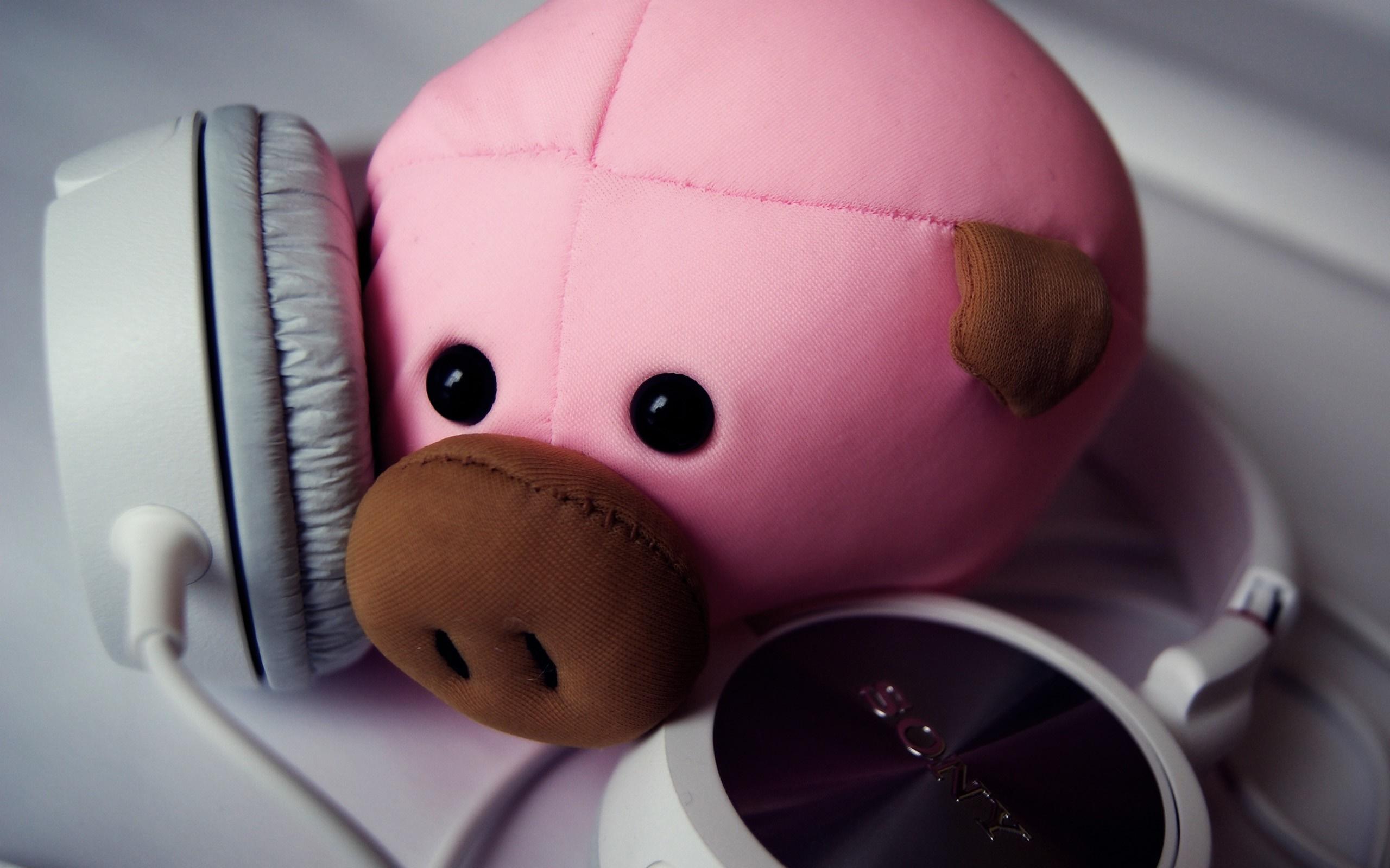 2560x1600 pigs, headphones, pink, head, organ, close up Gallery HD Wallpaper