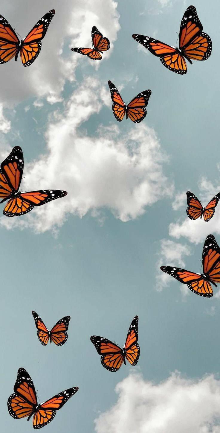 736x1447 Download Cool For Girls Monarch Butterfly Wallpaper