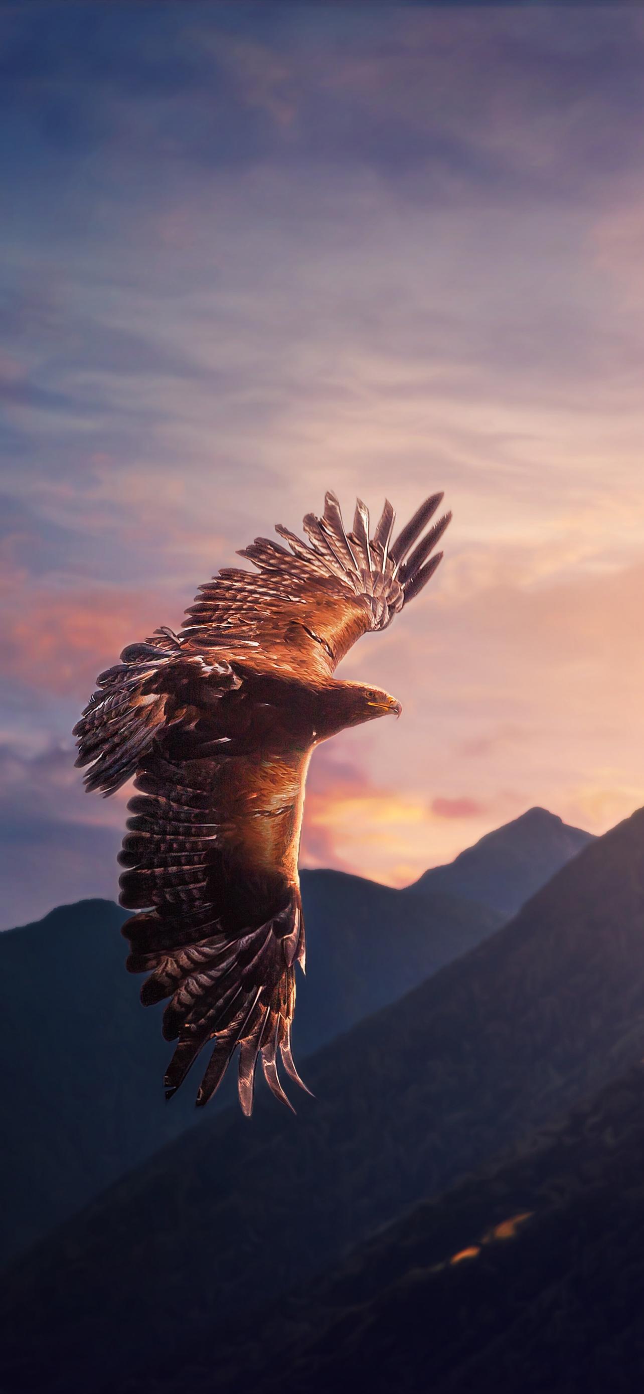 1284x2778 Eagle Wallpaper 4K, Sunset, Mountains, Animals