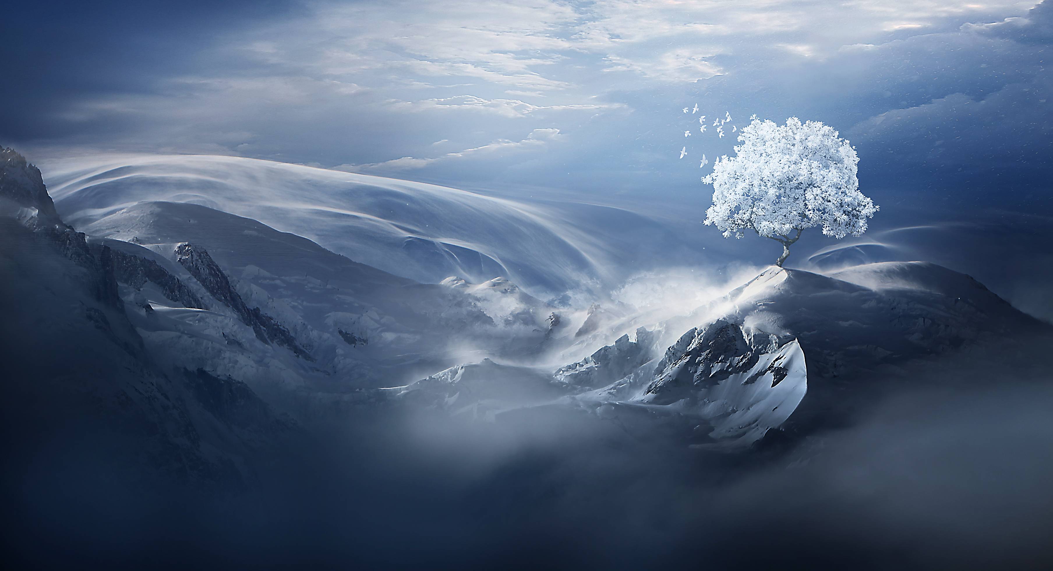 3616x1960 Birds Flying Over Snow Tree On Mountain Peak, HD Birds, 4k Wallpaper, Image, Background, Photo and Picture
