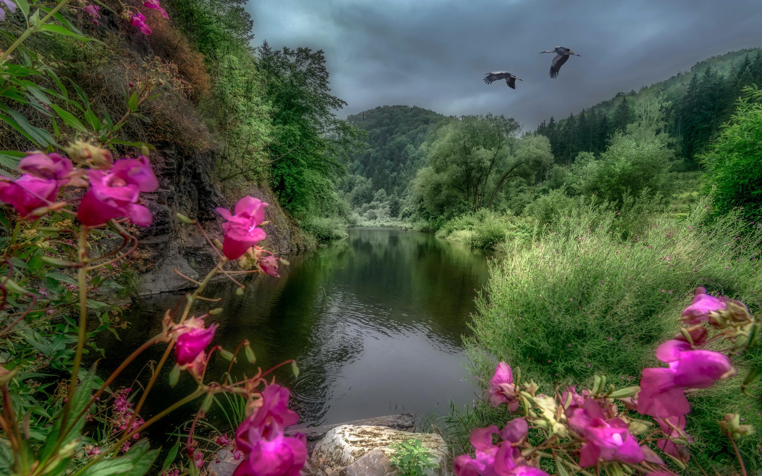 2560x1600 Download Beautiful nature, Scenery, Austria, River, Mountains, Birds Wallpaper in 2560x1600 Resolution