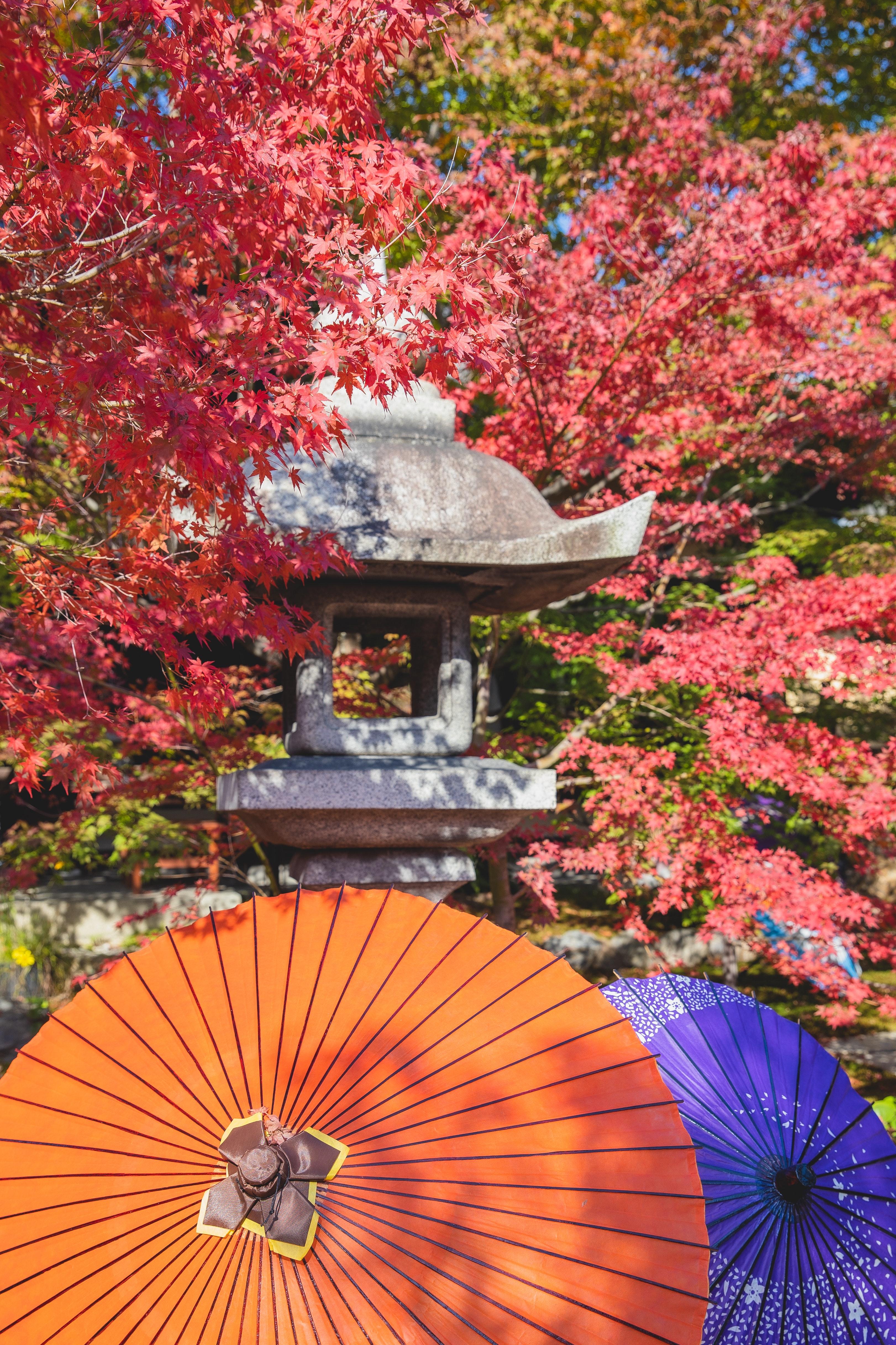 3243x4864 Traditional japanese garden with lanterns · Free