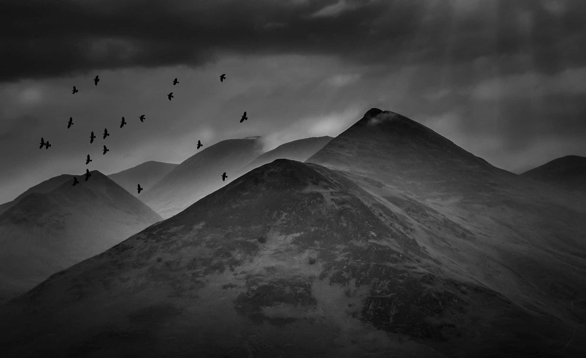 1920x1173 Download Black And White Hills Mountains Birds Wallpaper