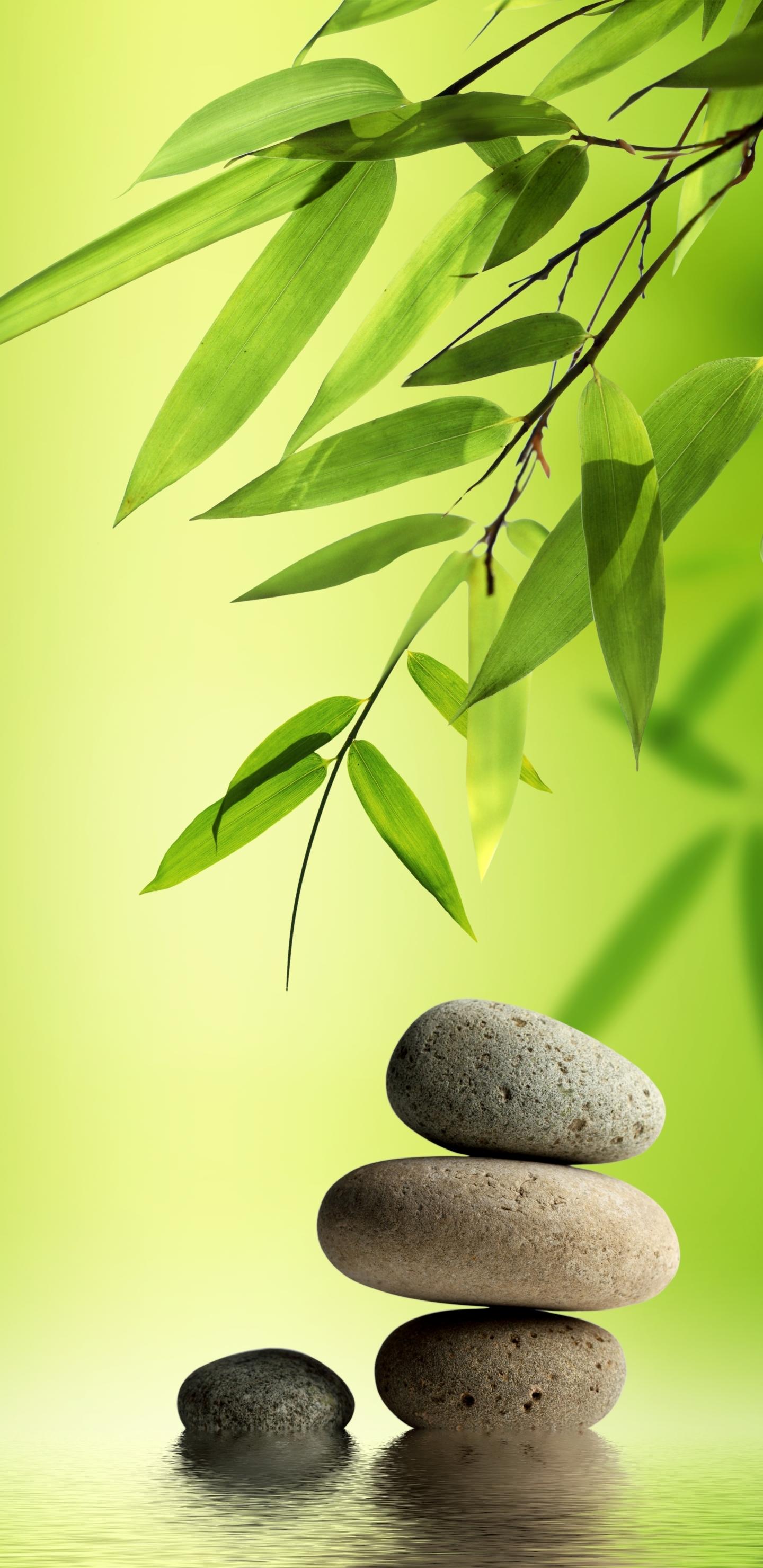 Zen Garden Phone Wallpapers Top Free Zen Garden Phone Backgrounds