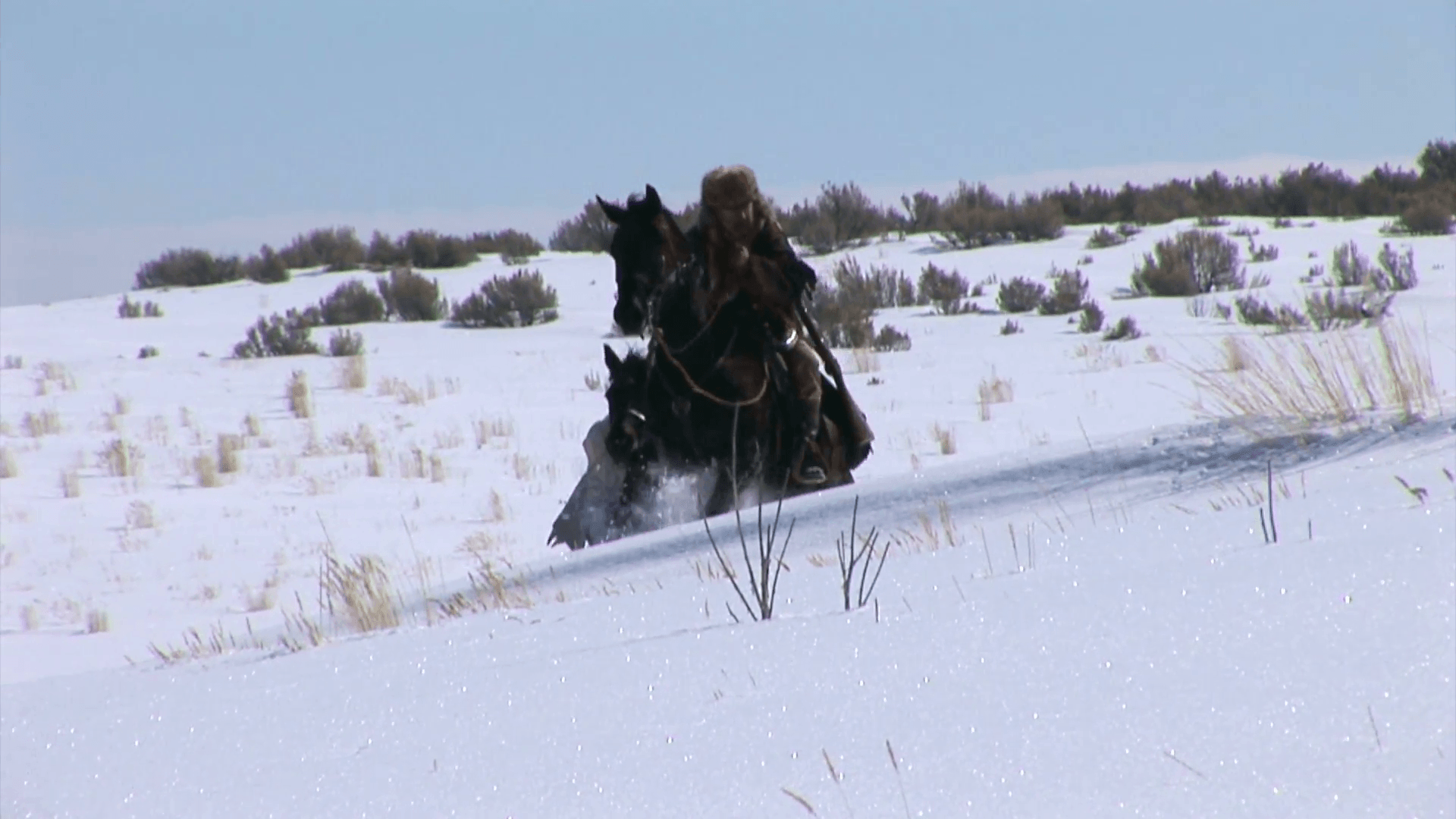 1920x1080 Mountain man and winter horses struggling in the snow Stock Video