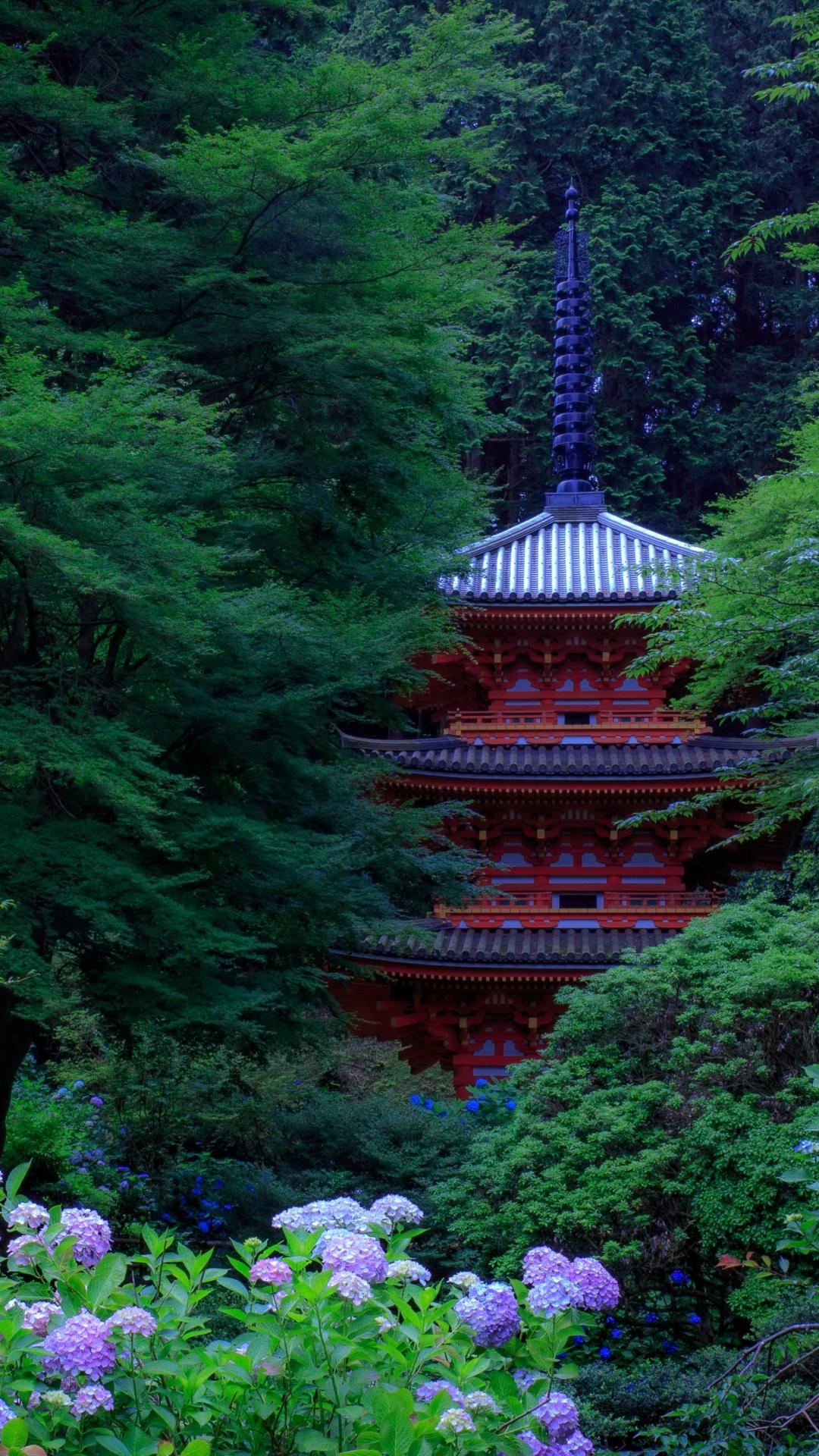 Zen Garden Phone Wallpapers Top Free Zen Garden Phone Backgrounds