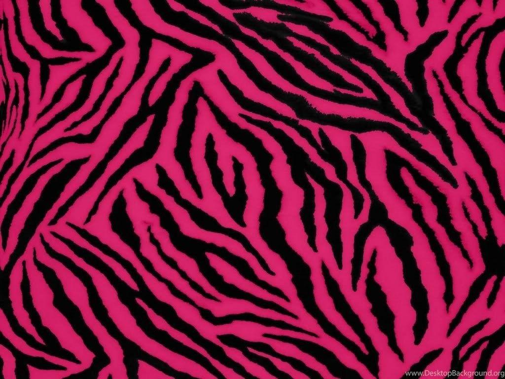 Pink and Black Zebra Wallpapers - Top Free Pink and Black Zebra ...